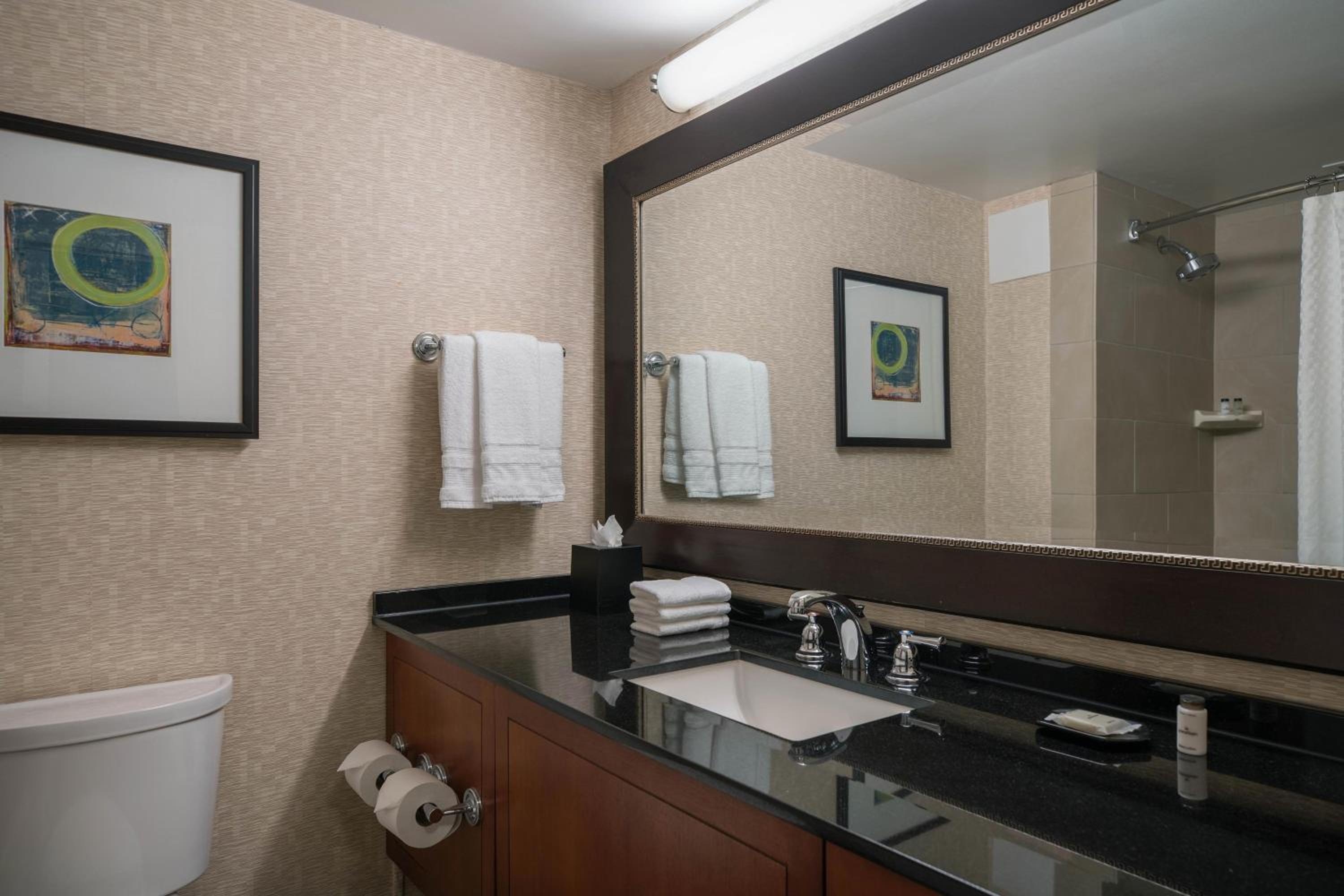 Traditional, Guest room, 1 King - Photo 2