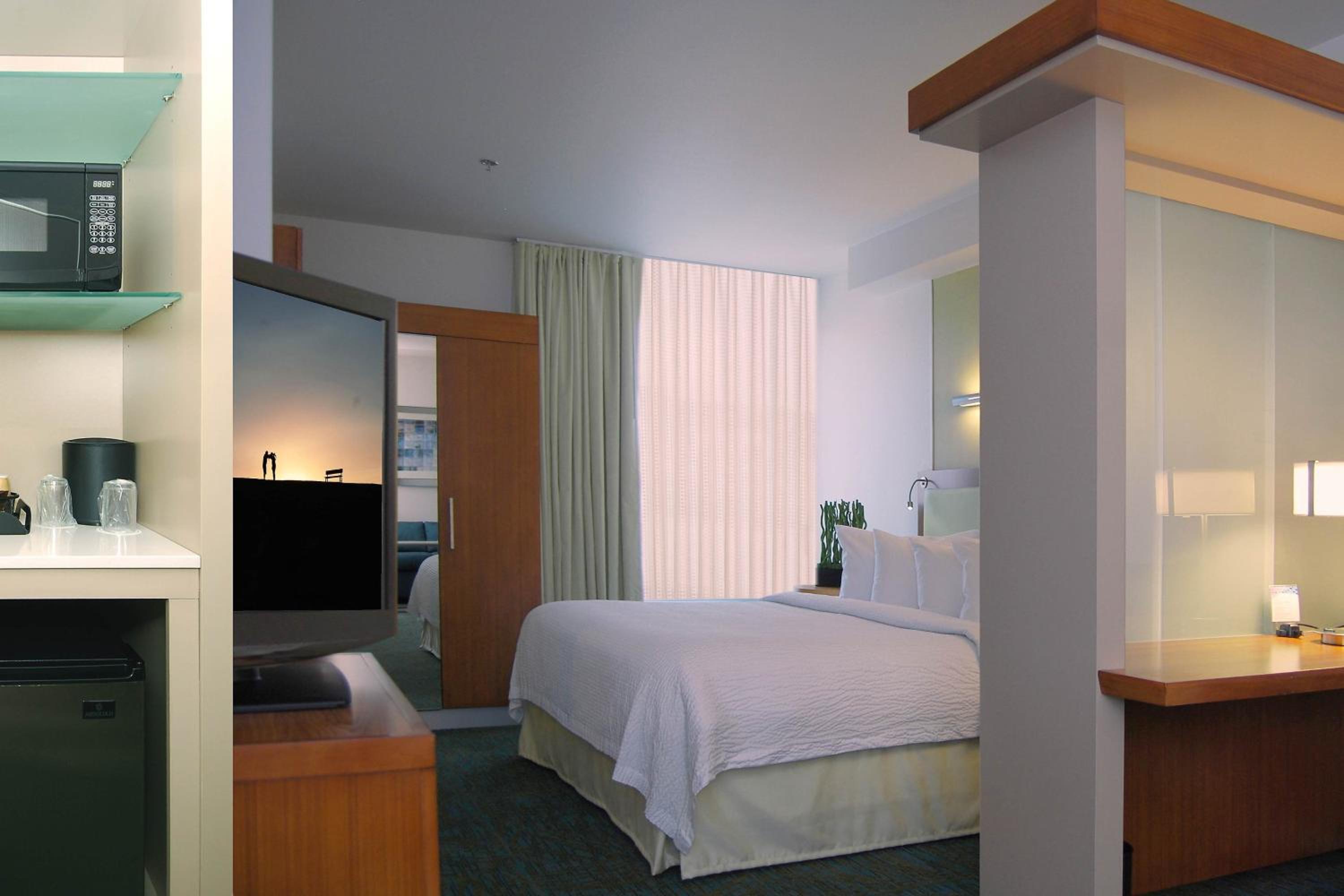 King Suite with Sofa Bed - Photo 1