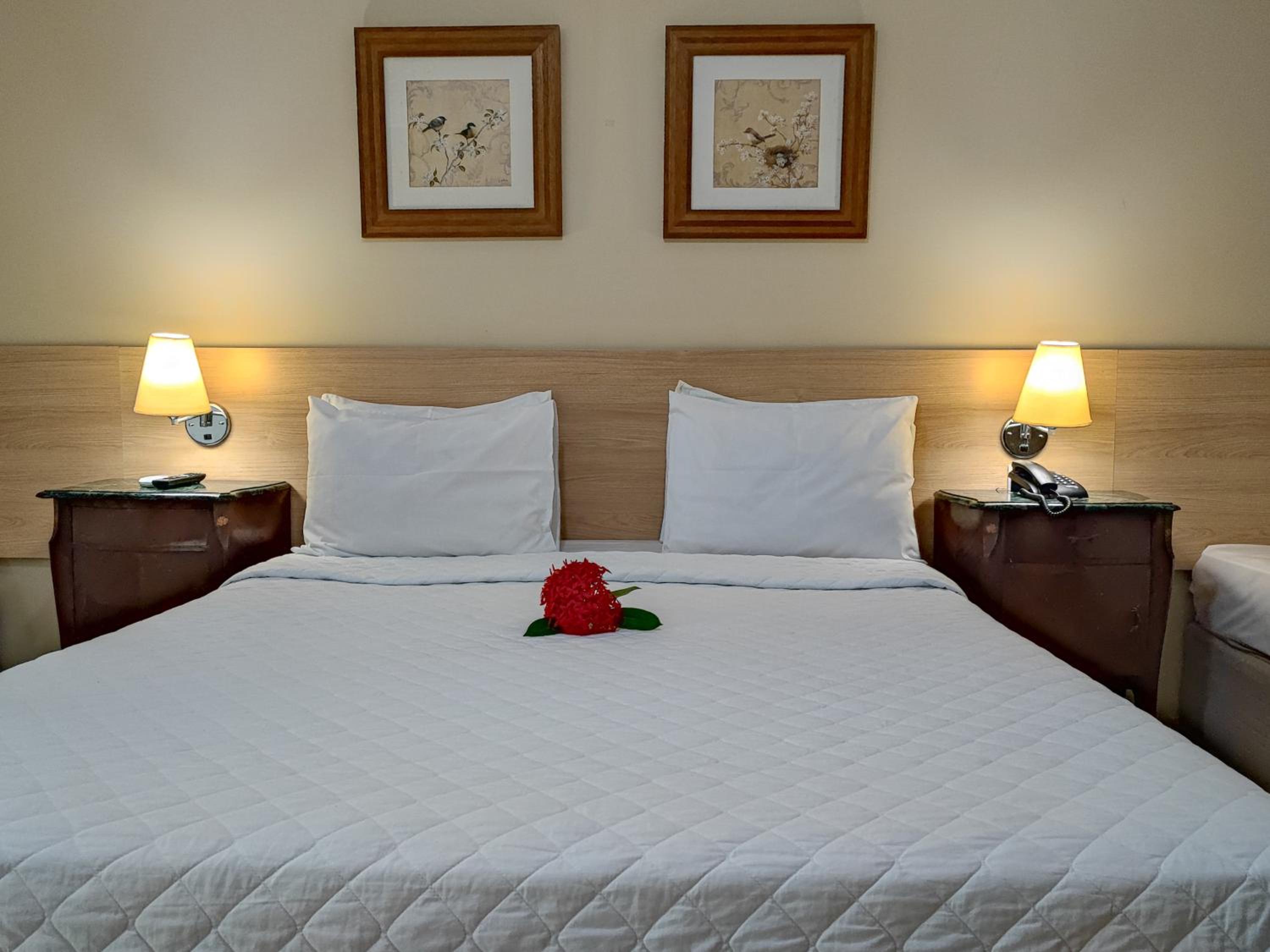 Triple Room photo 1