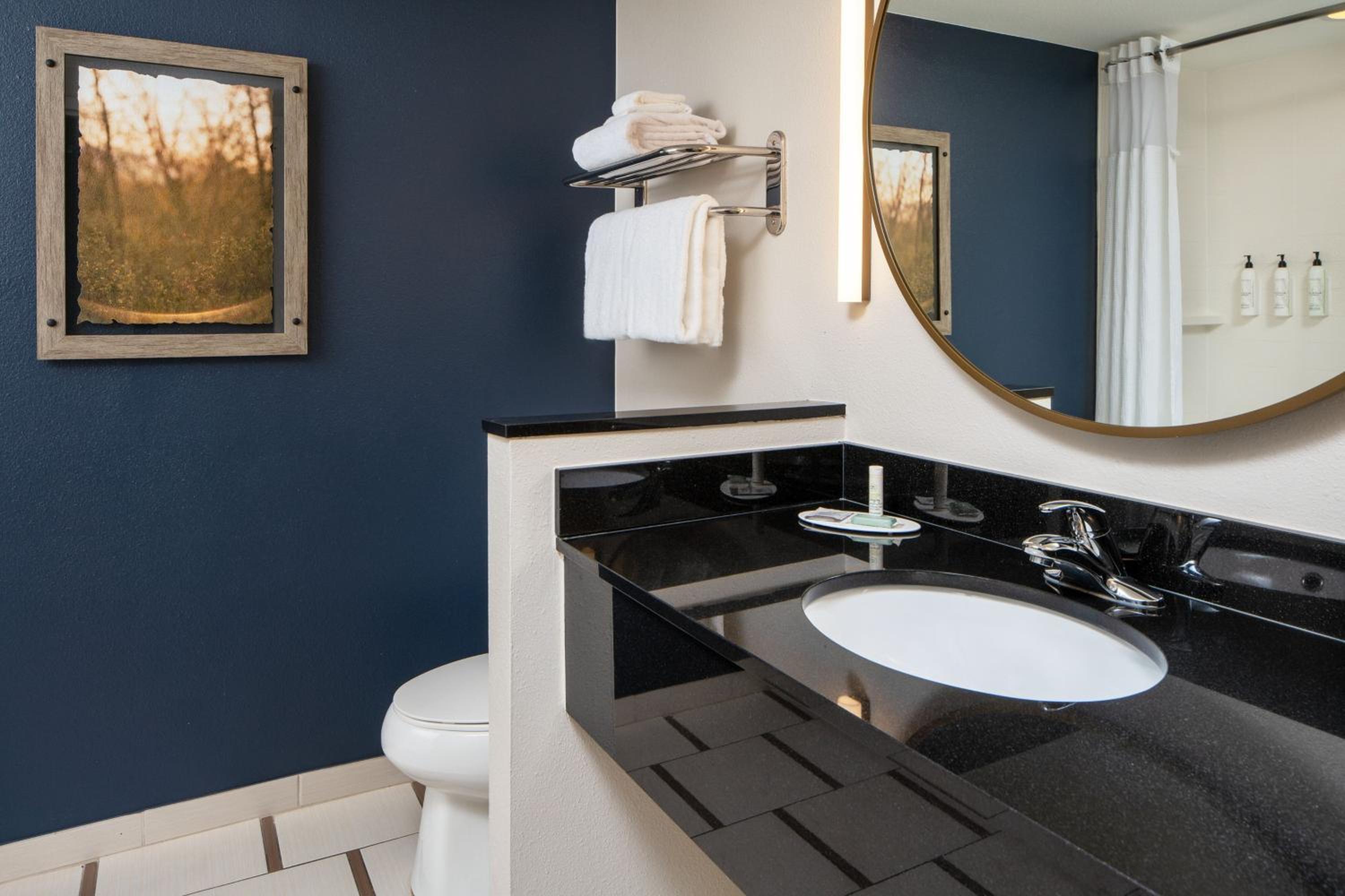King Suite with Sofa Bed - Photo 4