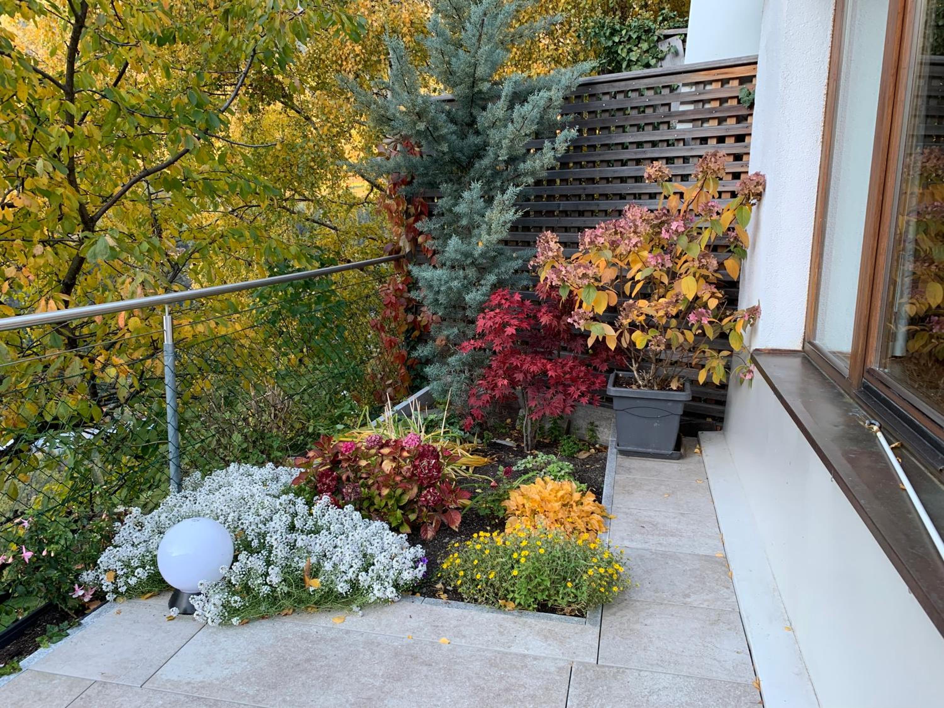 Apartment with Garden View photo 3