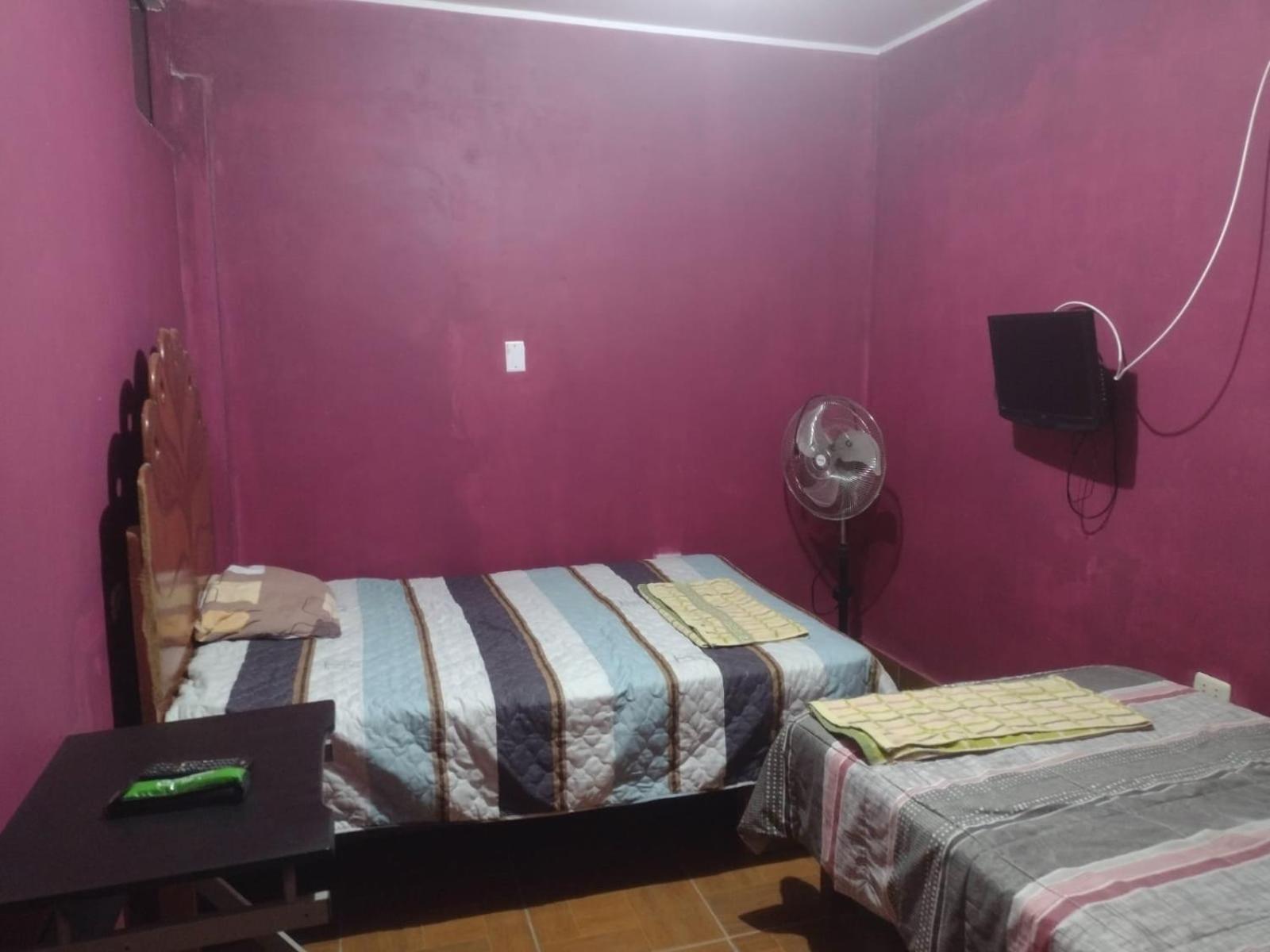 Twin Room photo 2