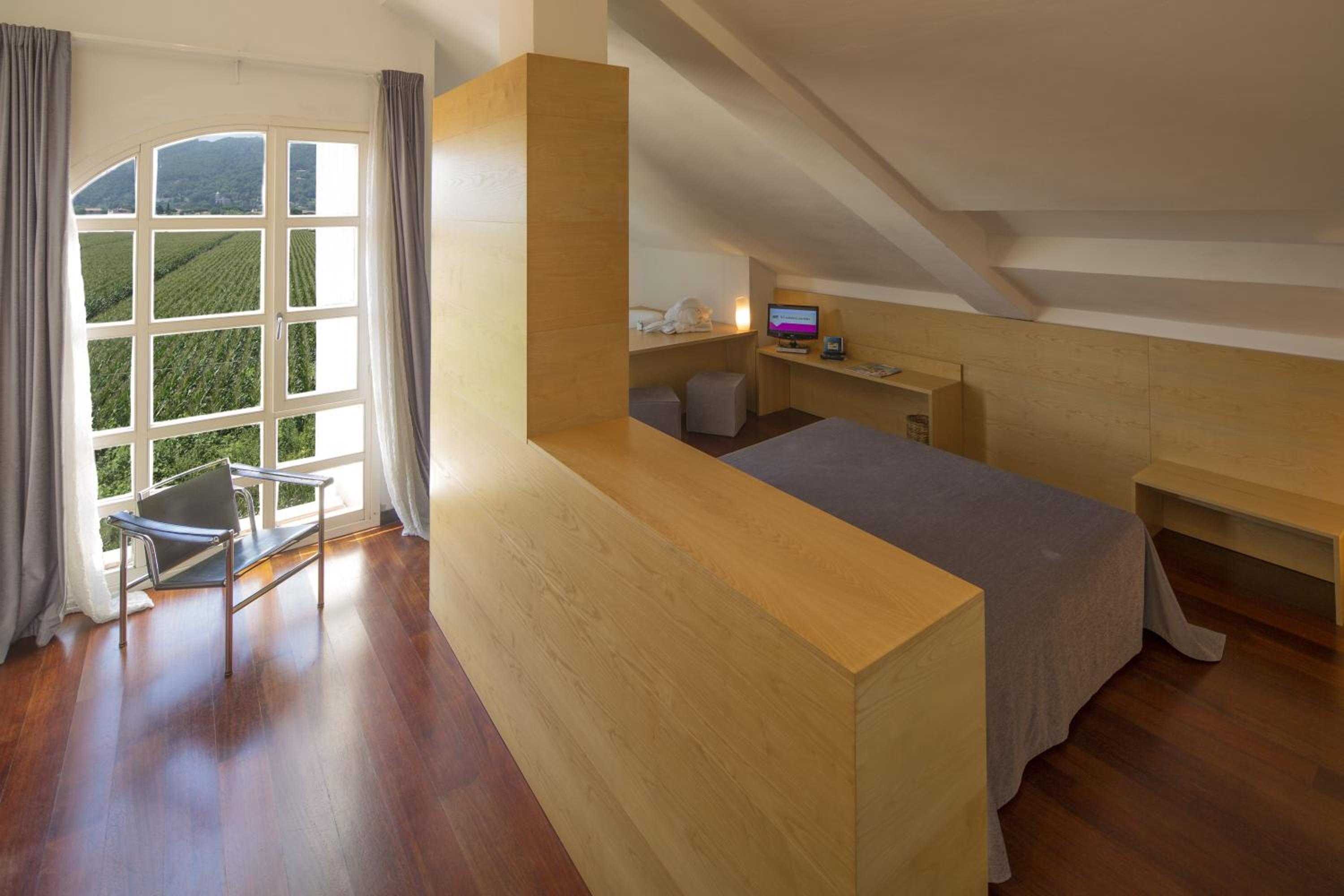 Suite - Photo 1