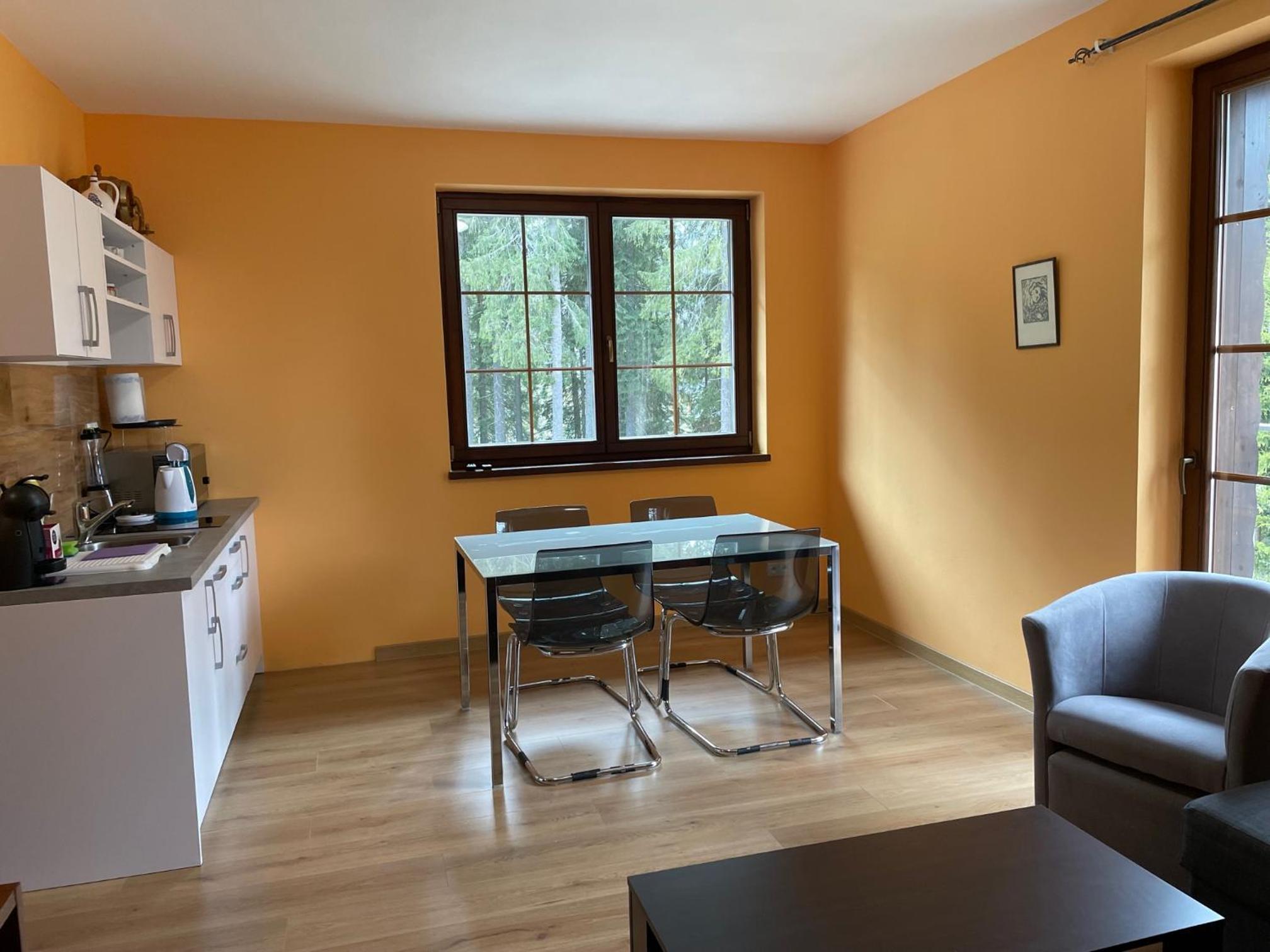 One-Bedroom Apartment photo 3