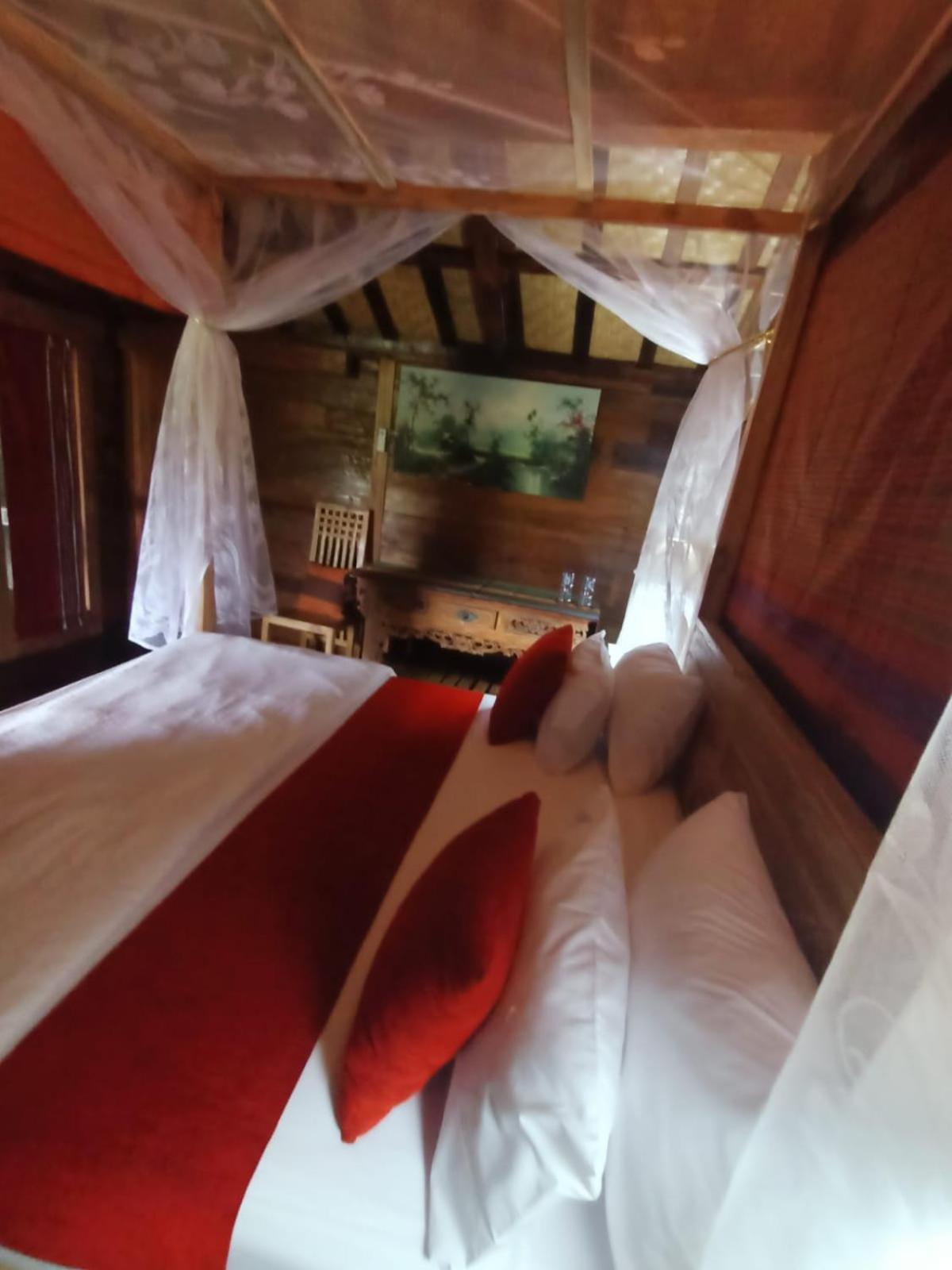 Standard Double Room - Photo 6