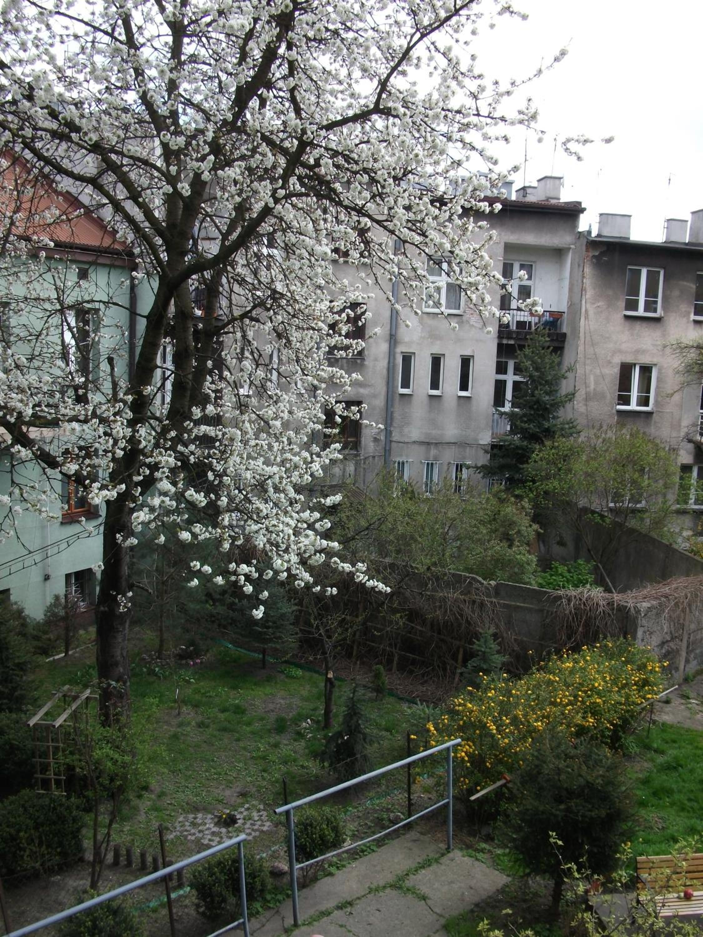 Apartment - Photo 5