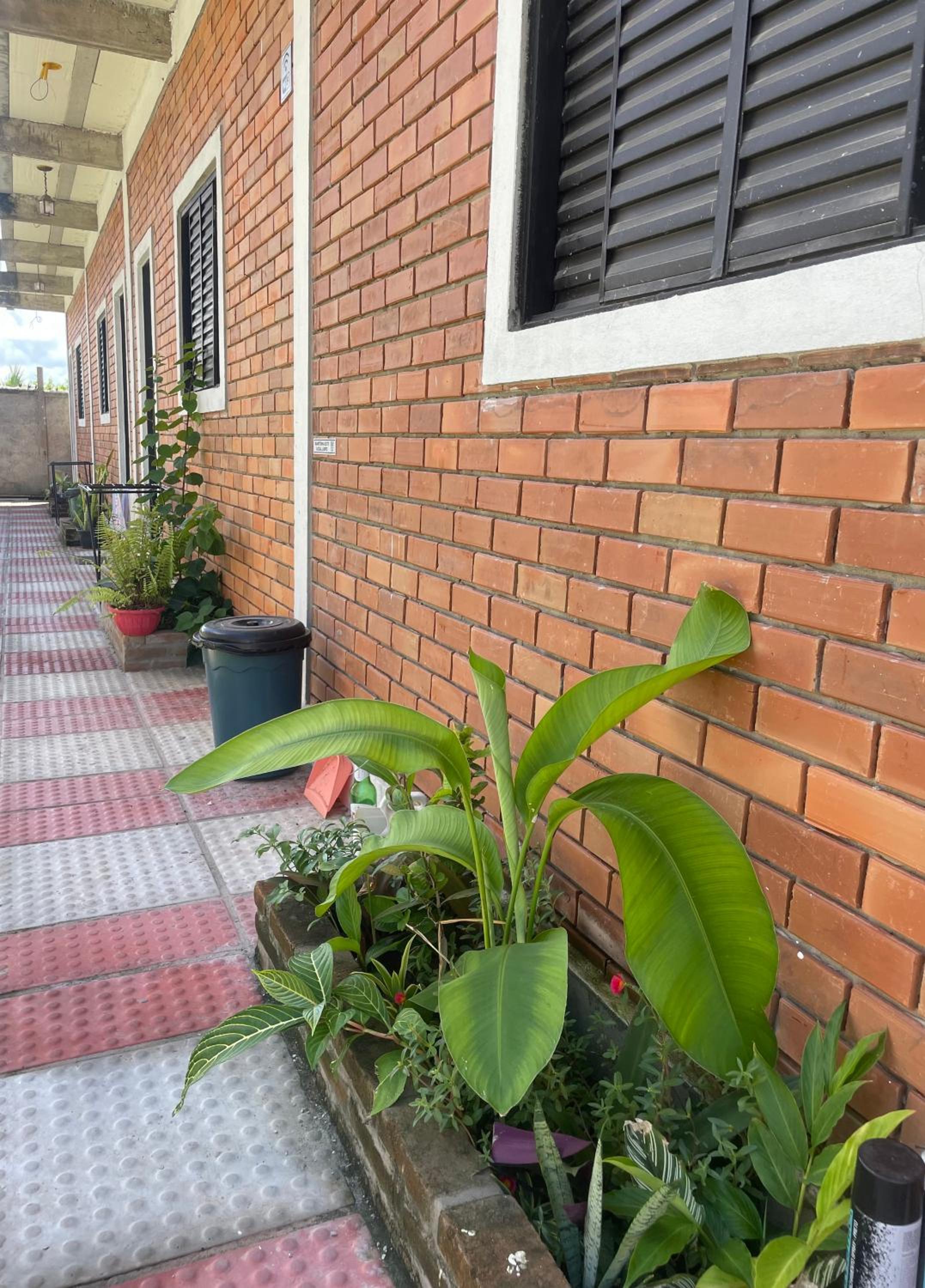 Apartment - Ground Floor photo 2