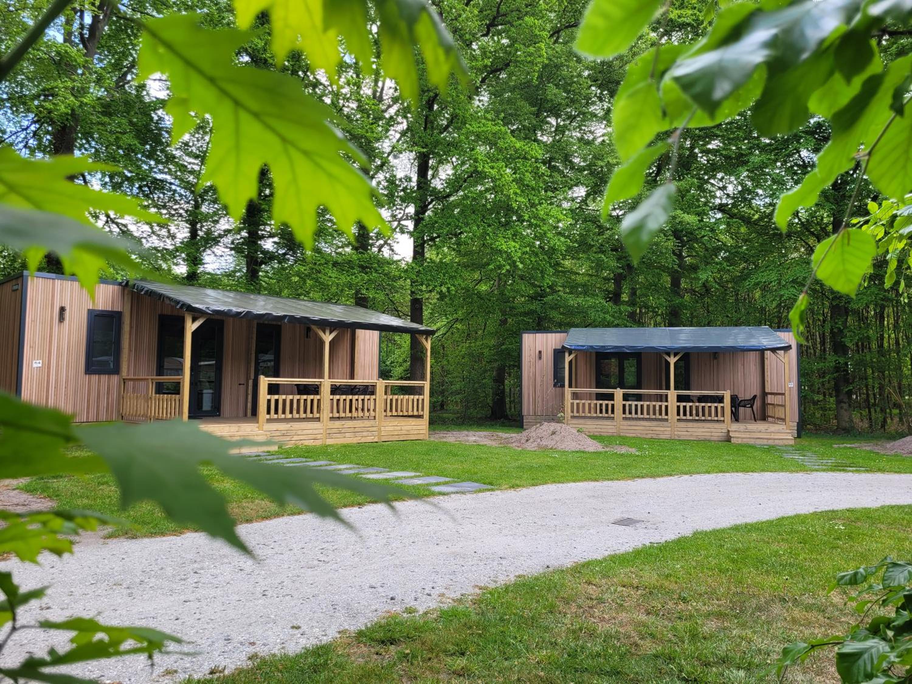 Three-Bedroom Chalet photo 2