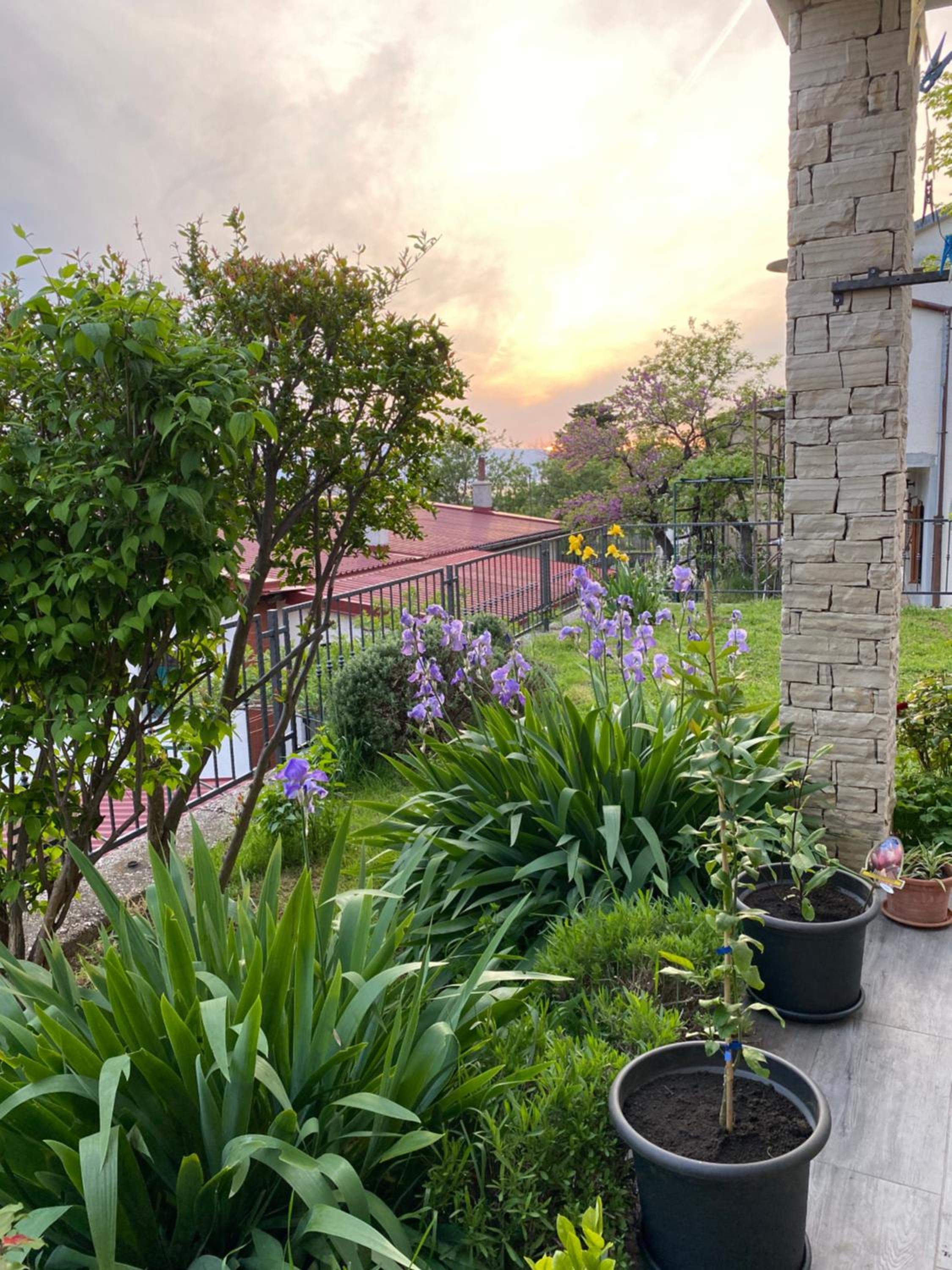 Apartment with Terrace photo 2