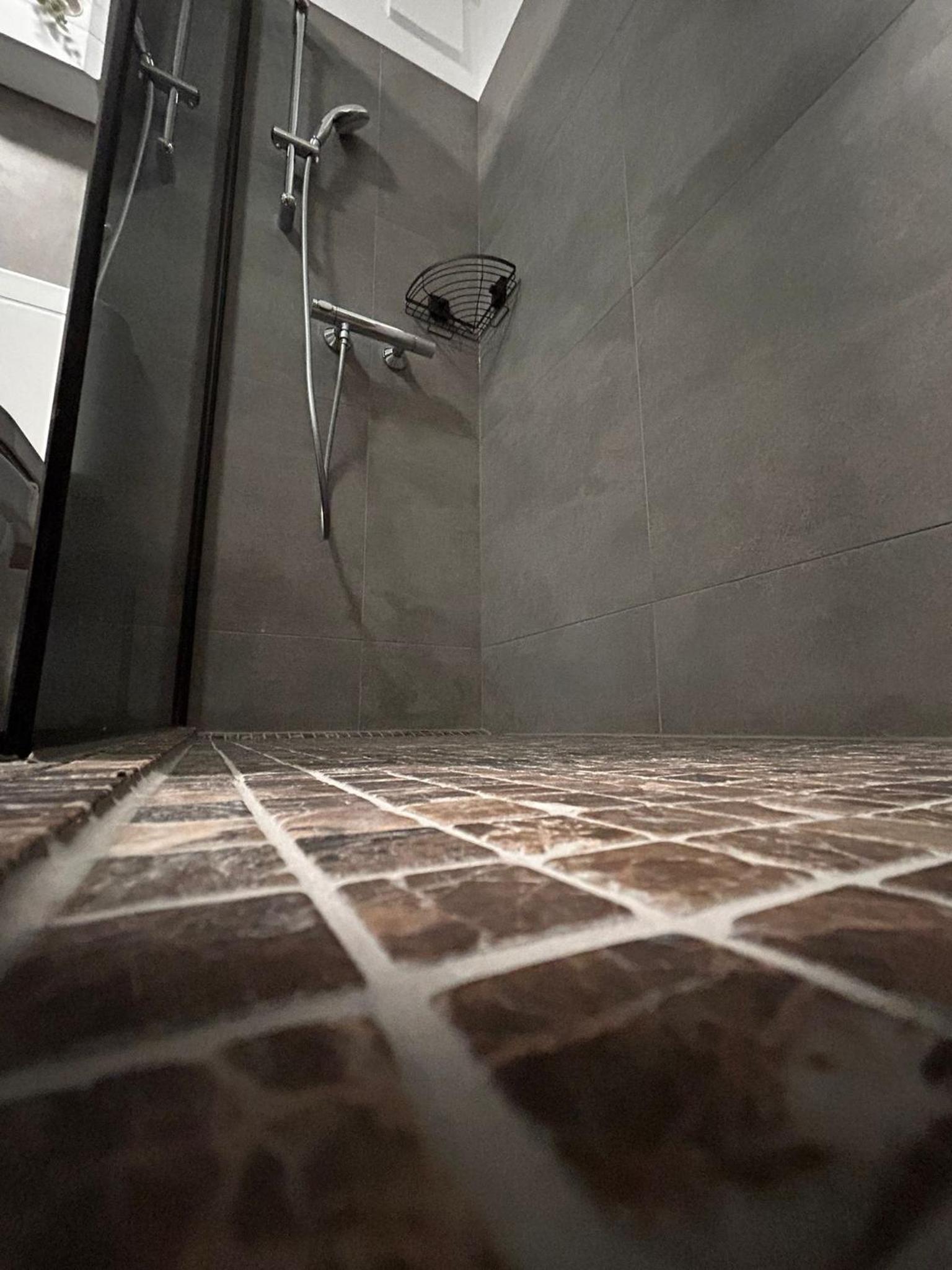 Apartment with Shower photo 3