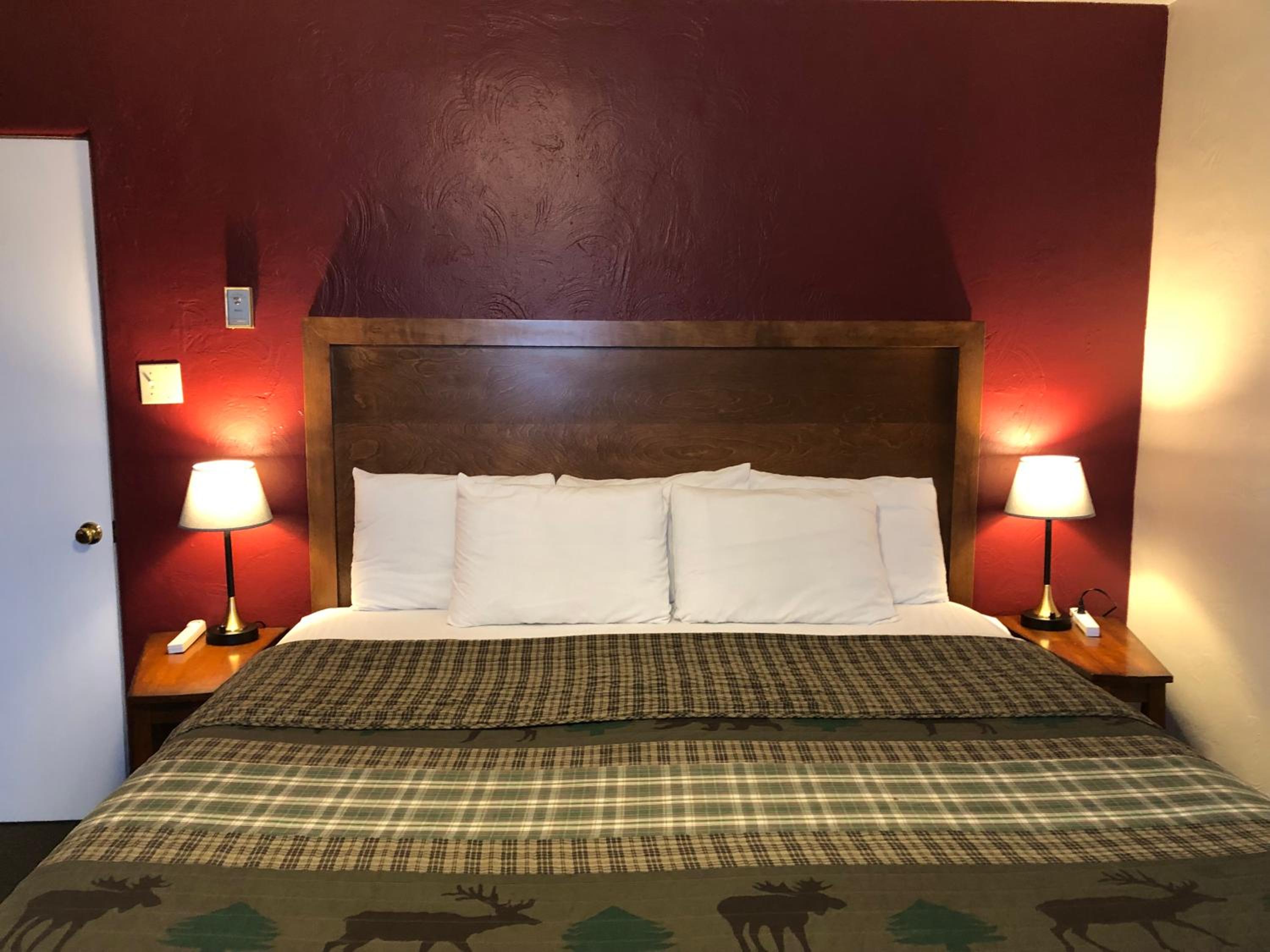 Family Suite photo 1