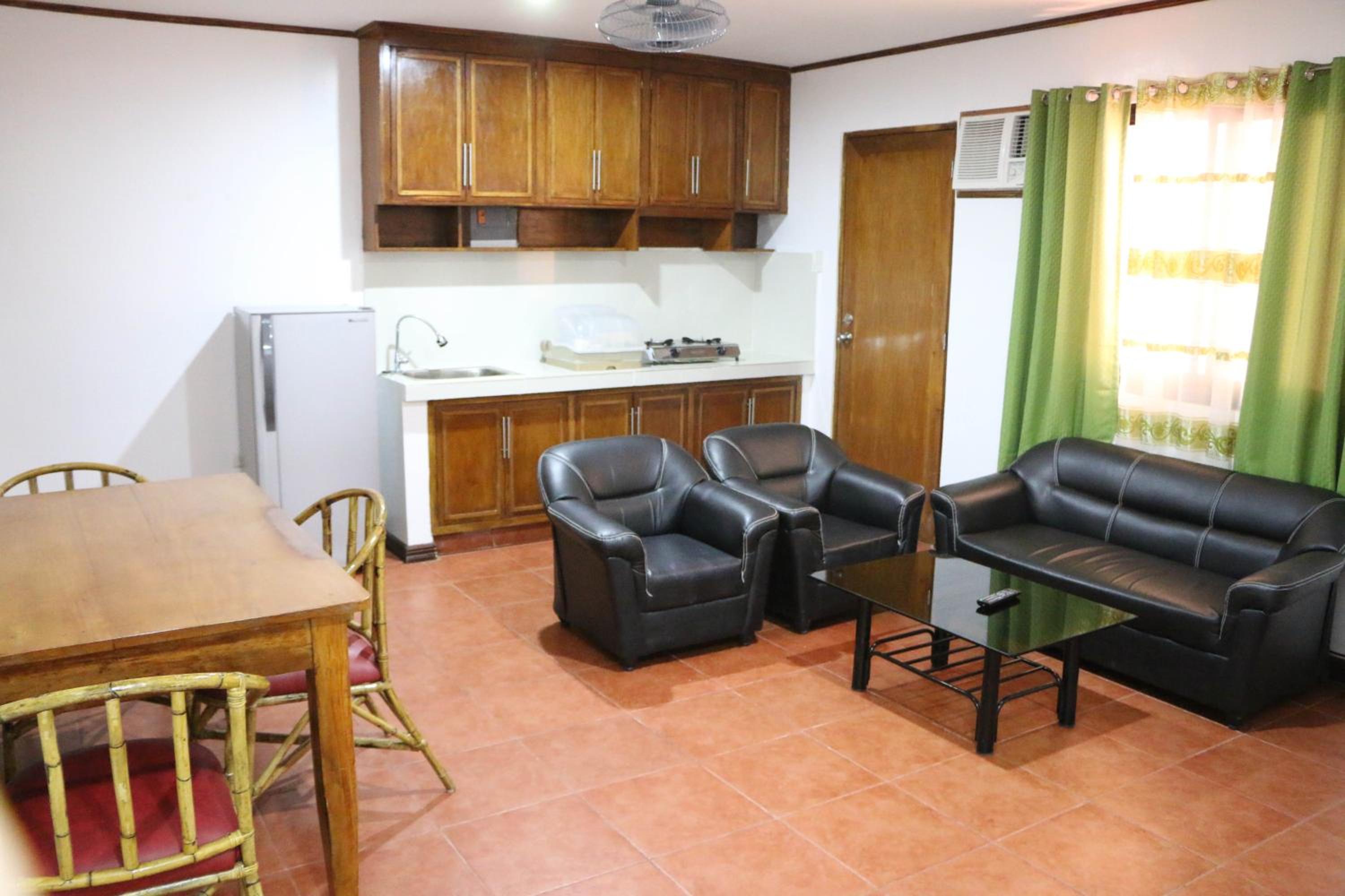One-Bedroom Apartment photo 2