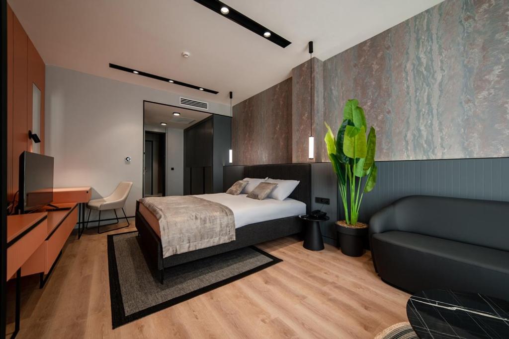 Suite - Photo 1