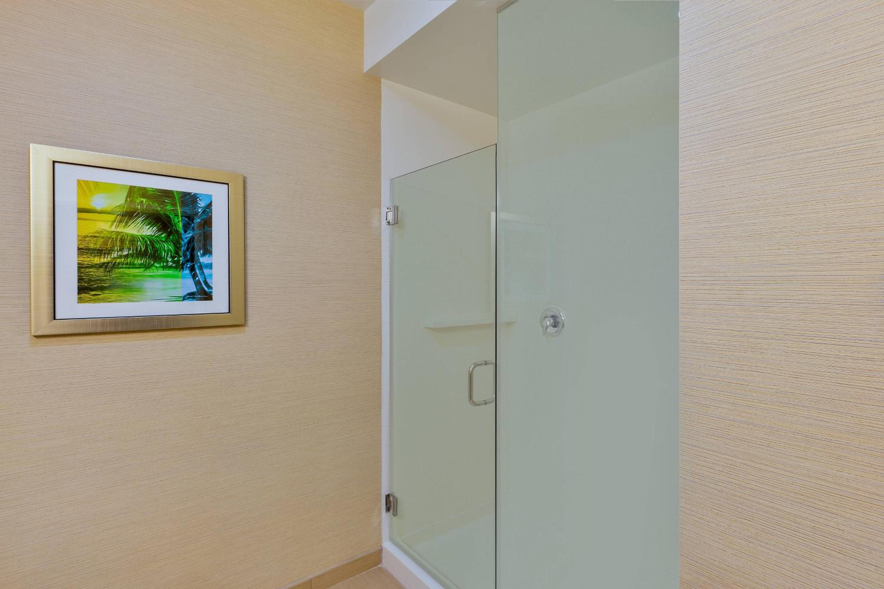 Suite with full Kitchen, 1 Bedroom Suite, 1 King, Sofa bed, photo 6