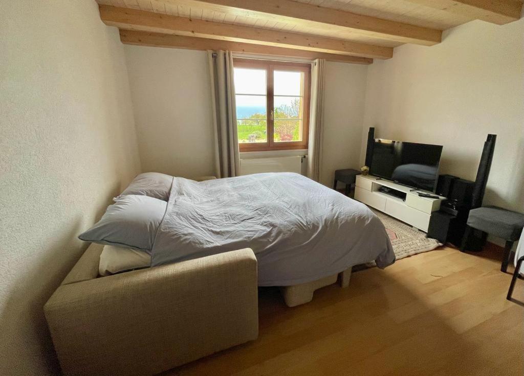 One-Bedroom Apartment photo 2