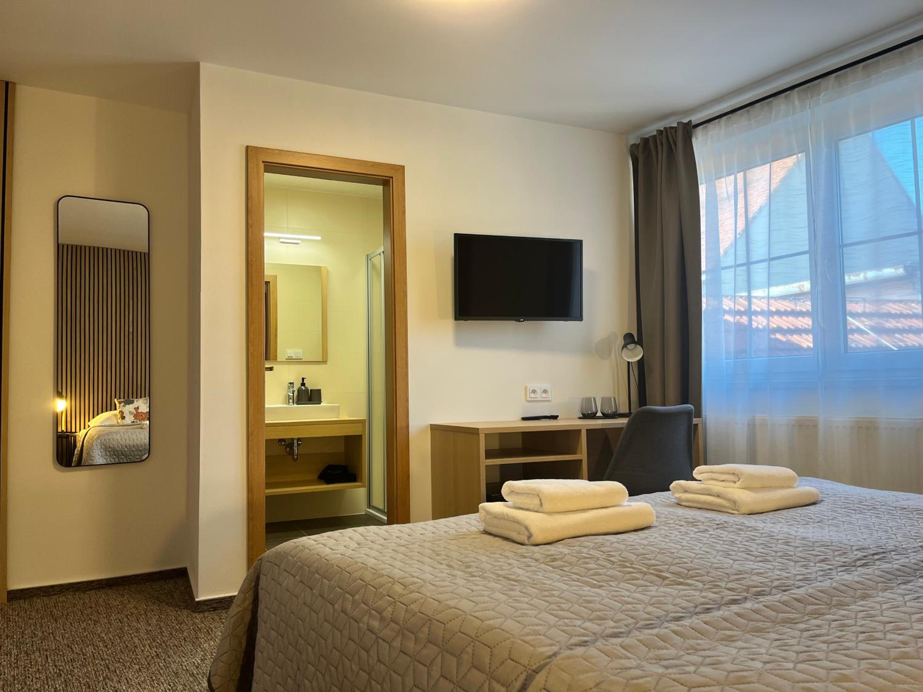 Double or Twin Room photo 3