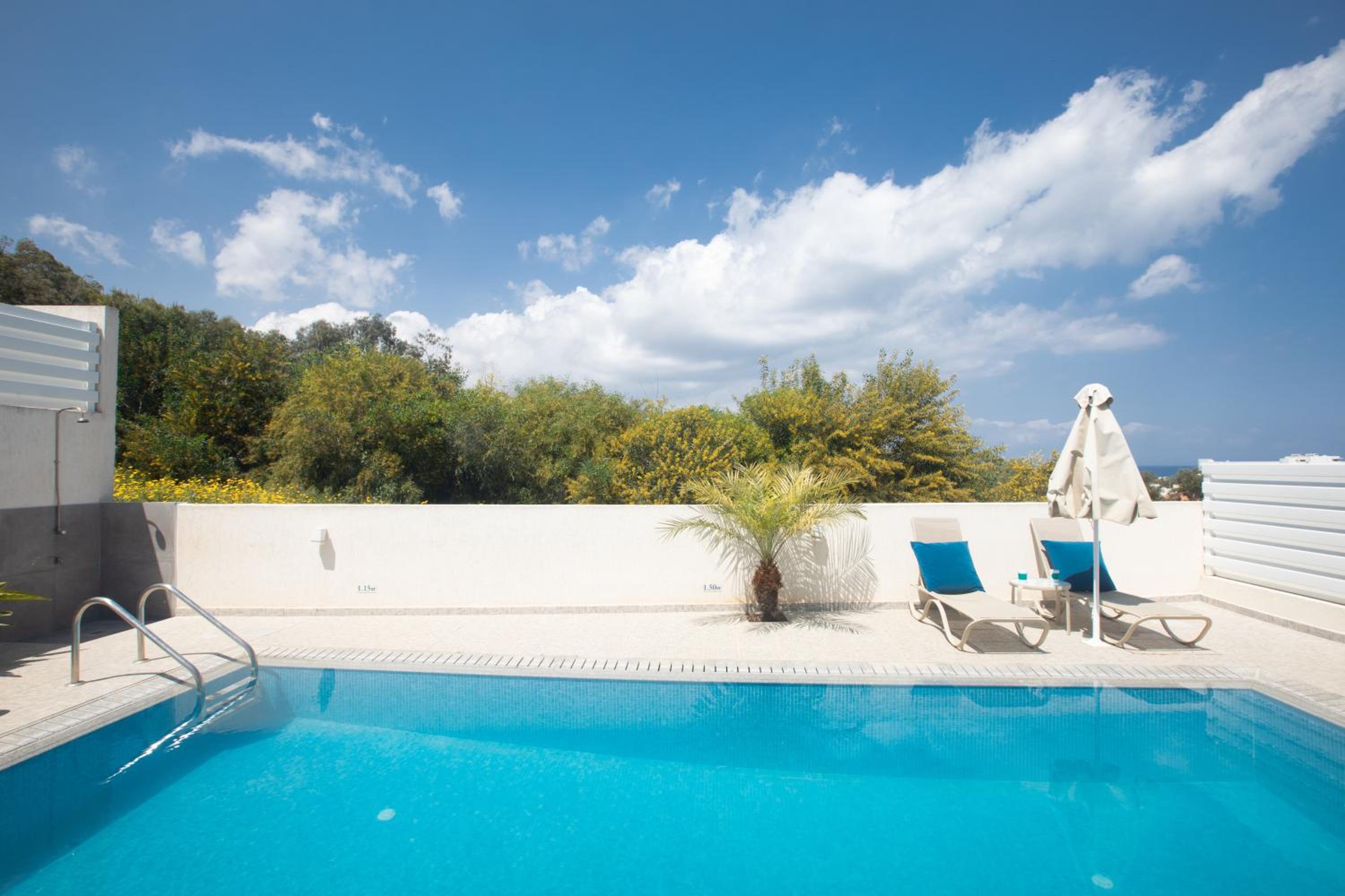 Three-Bedroom Villa with Private Pool photo 3