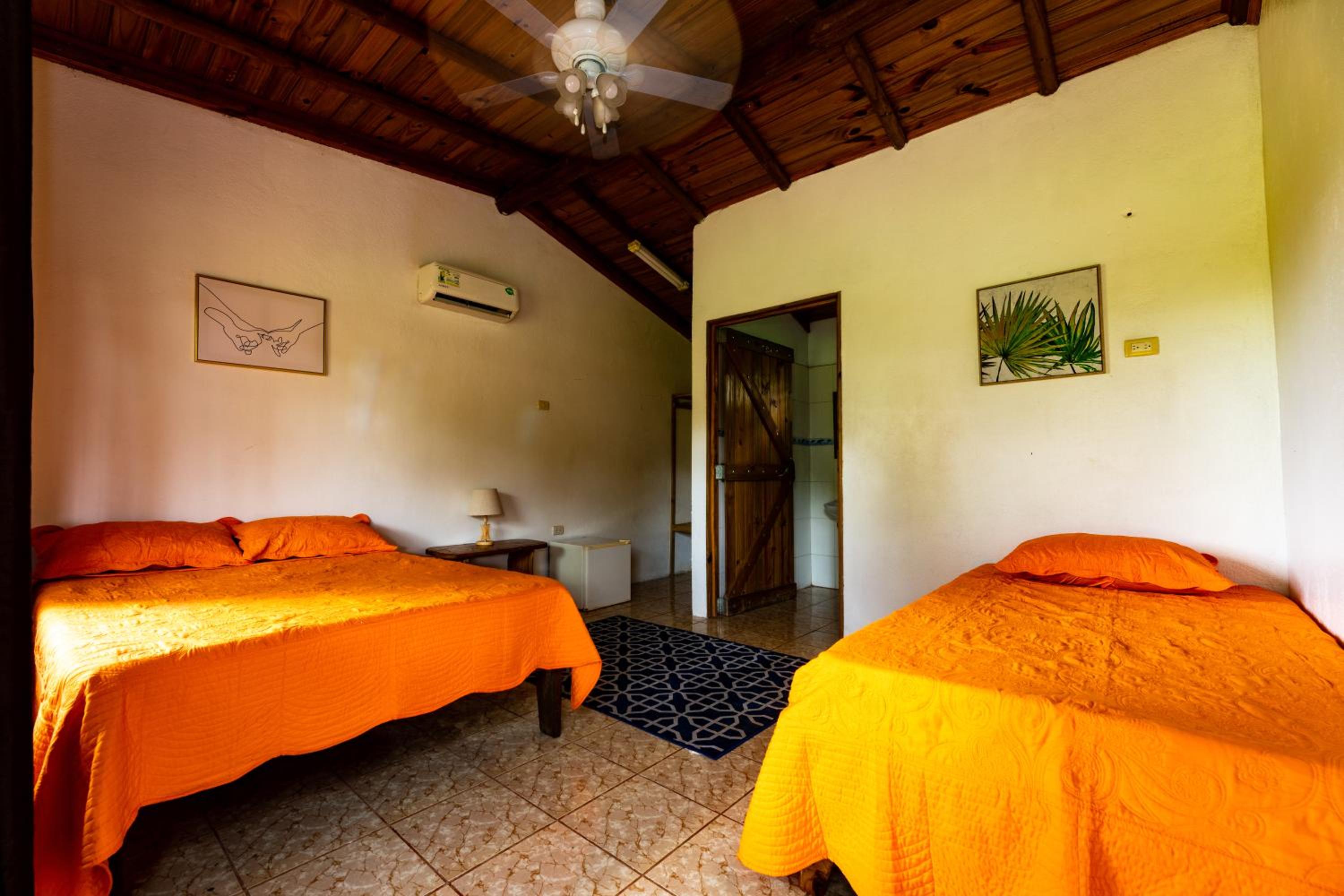 Double or Twin Room photo 1
