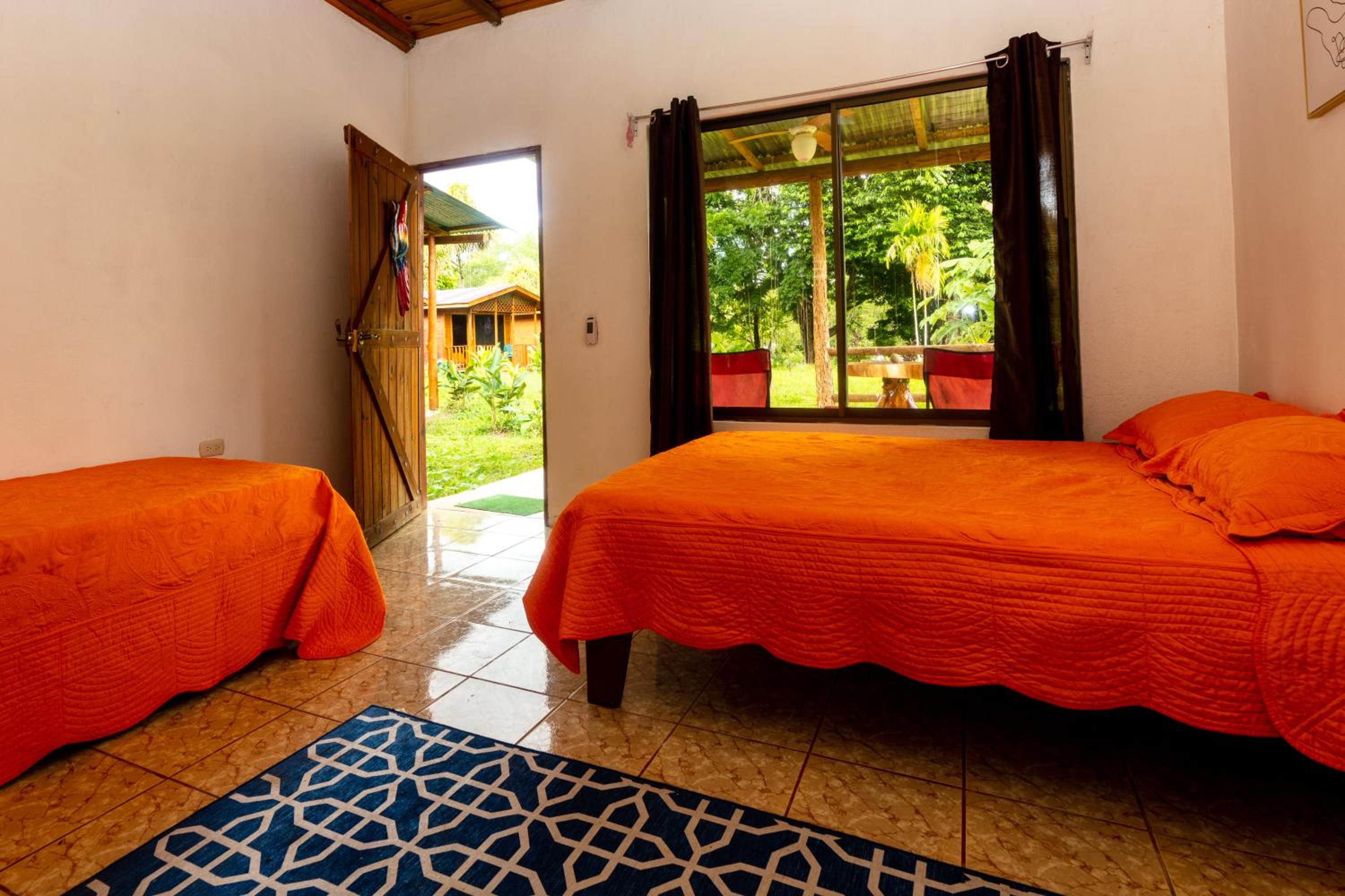Double or Twin Room photo 2