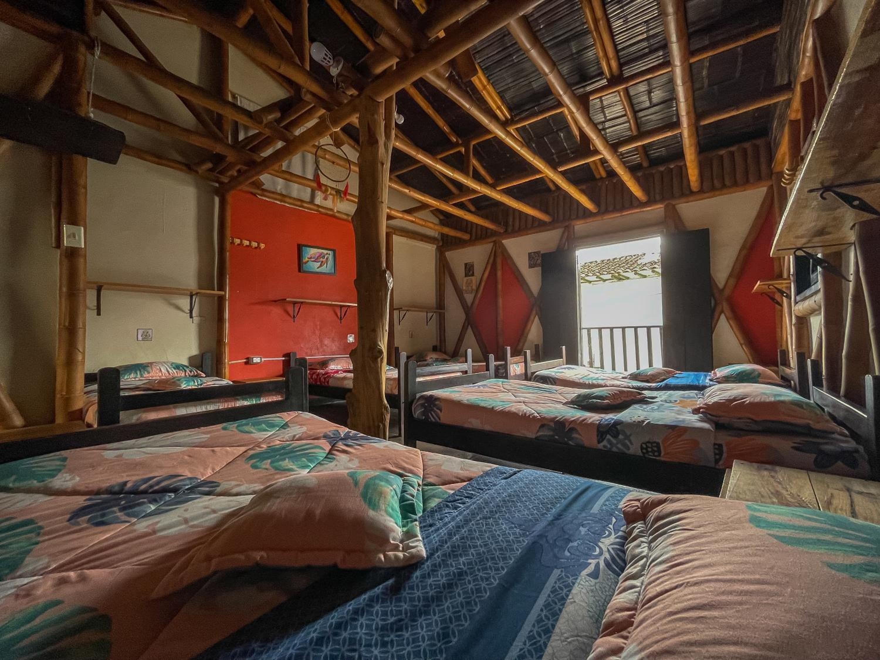 Single Bed in Mixed Dormitory Room photo 3