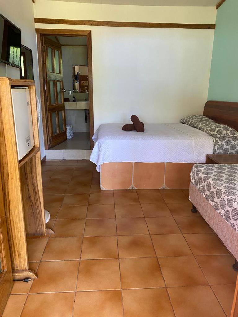 Double Room With Terrace photo 1