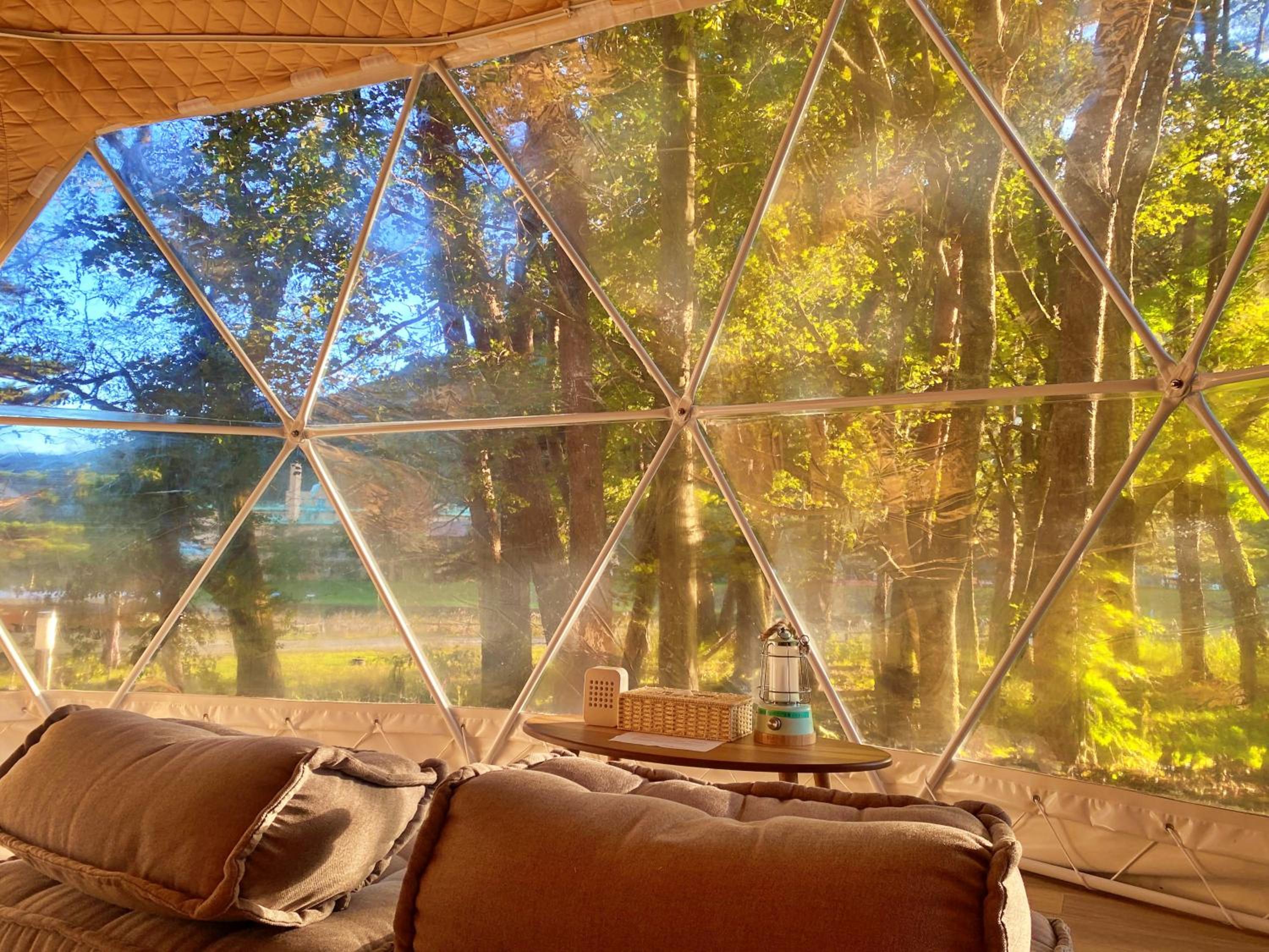 Glamping Dome with forest view terrace photo 3