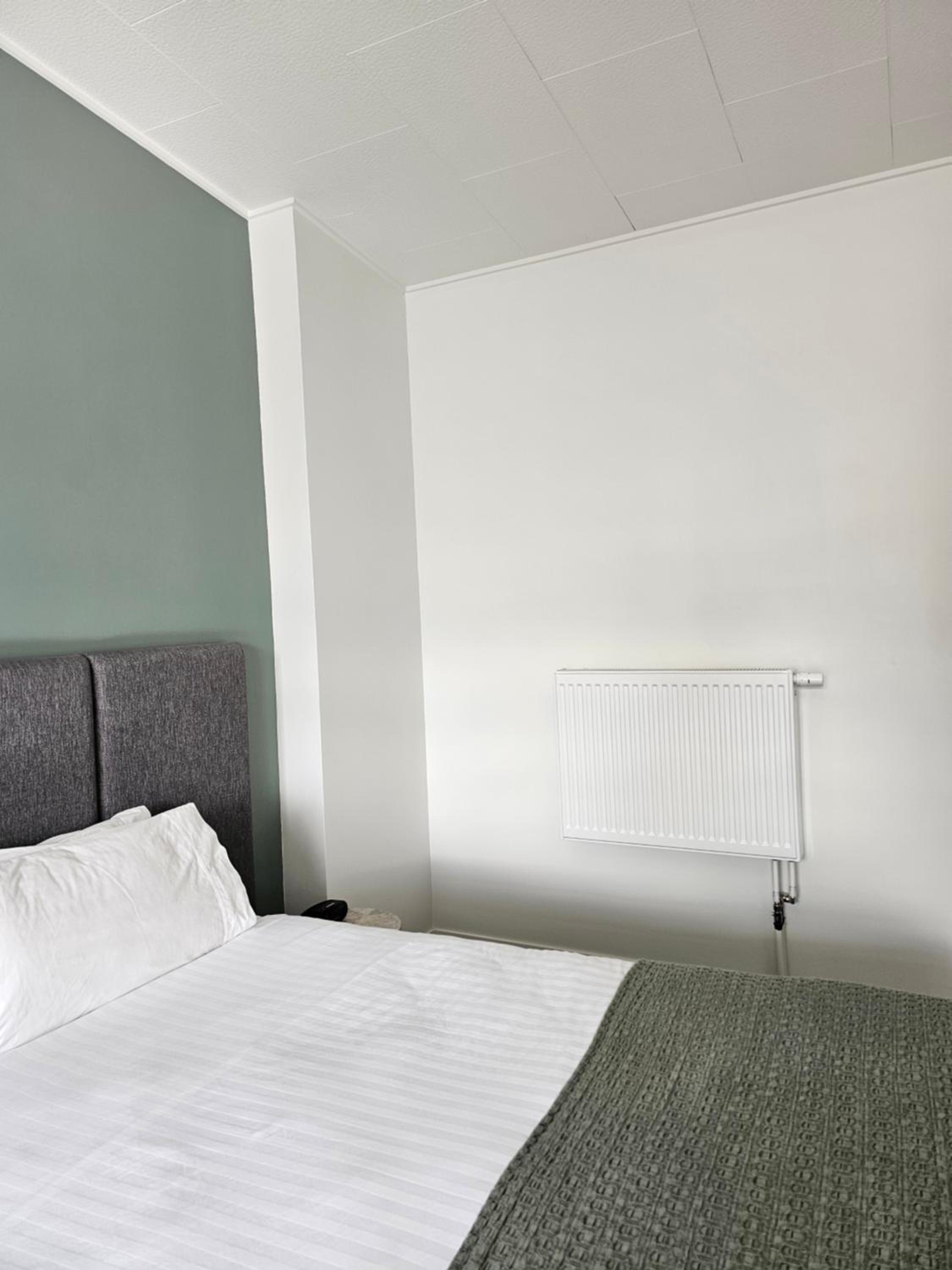Deluxe King Suite - Photo 6