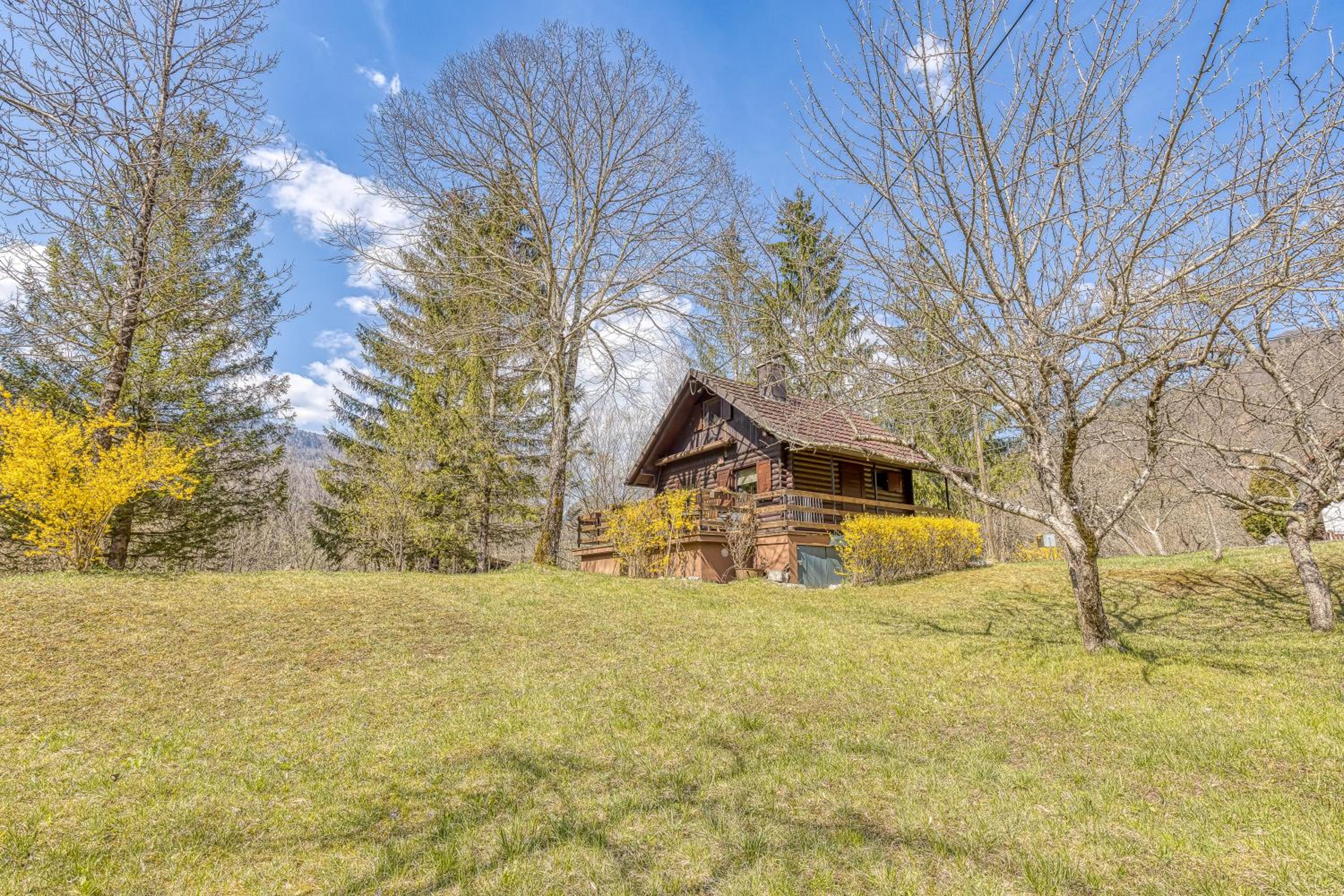 Chalet photo 2