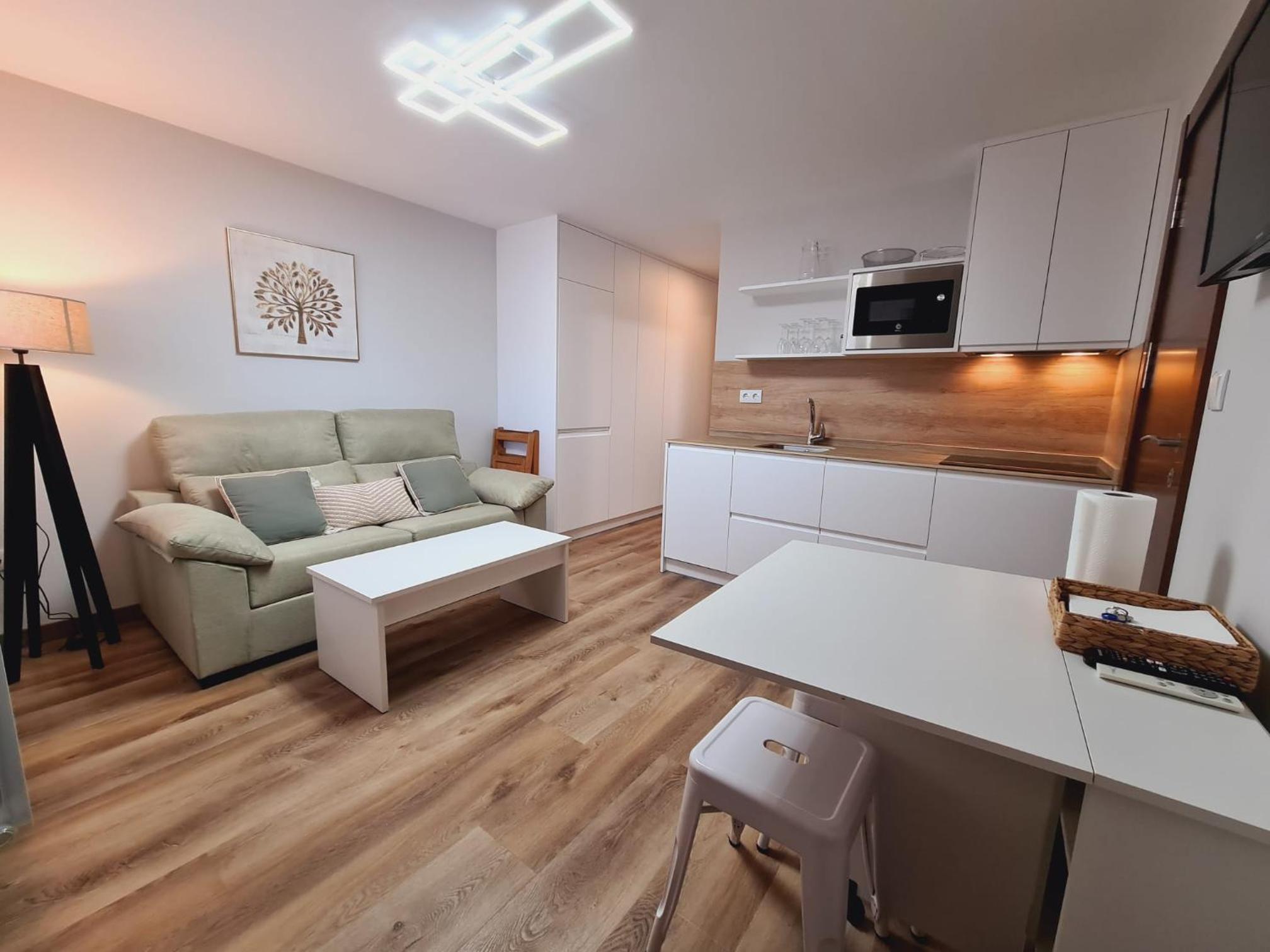Apartamento de una habitación