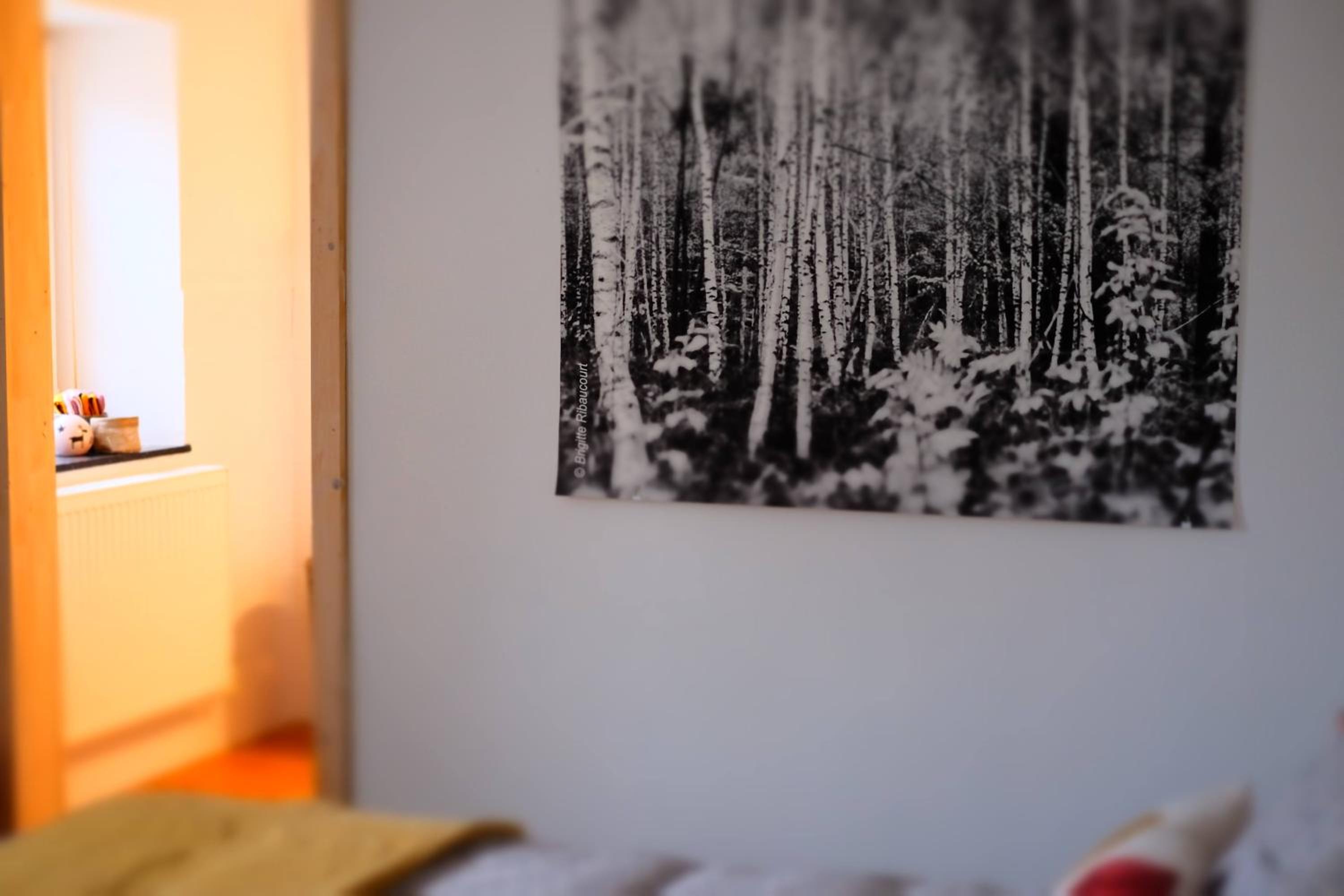 One-Bedroom Apartment photo 1