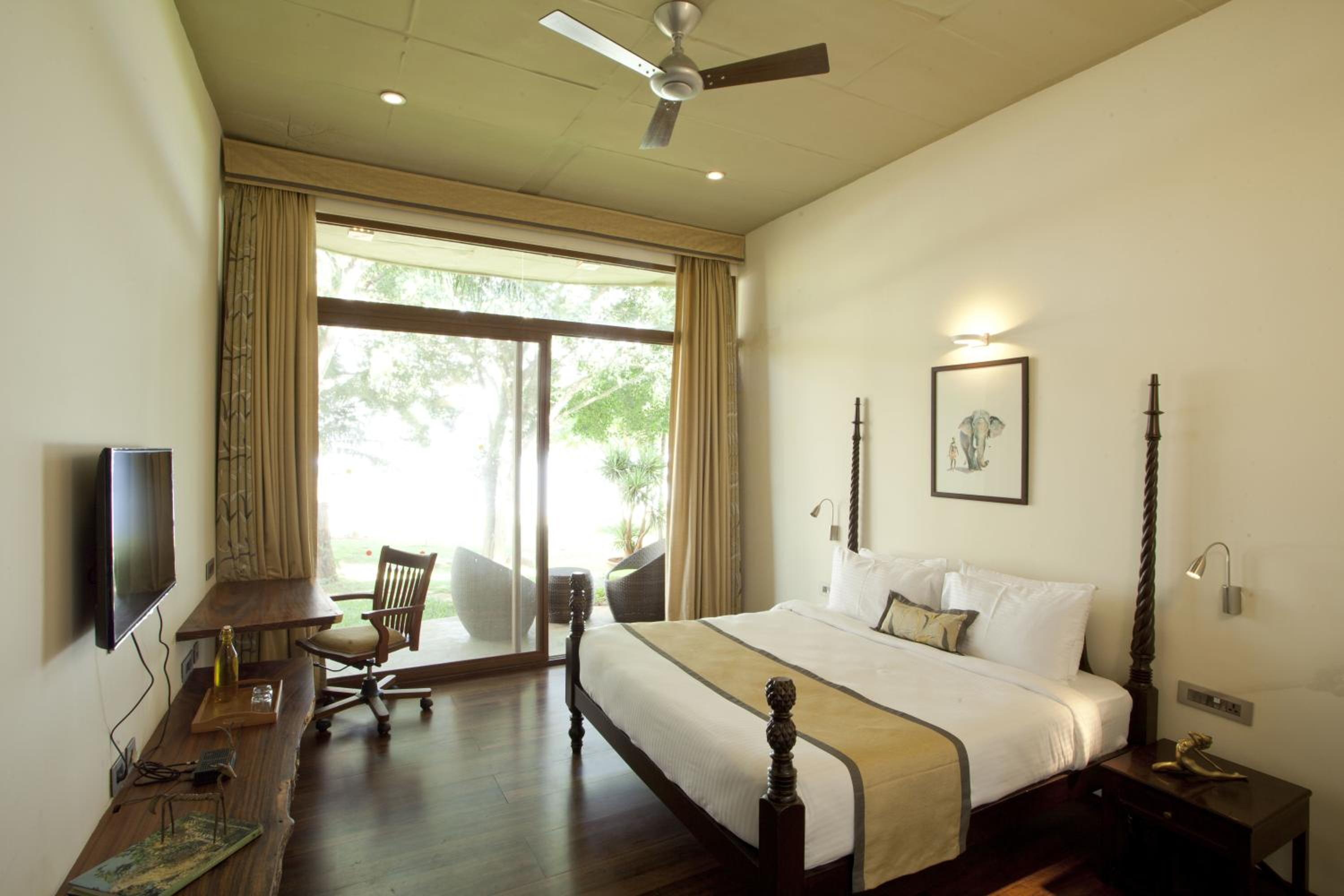 King Room photo 1