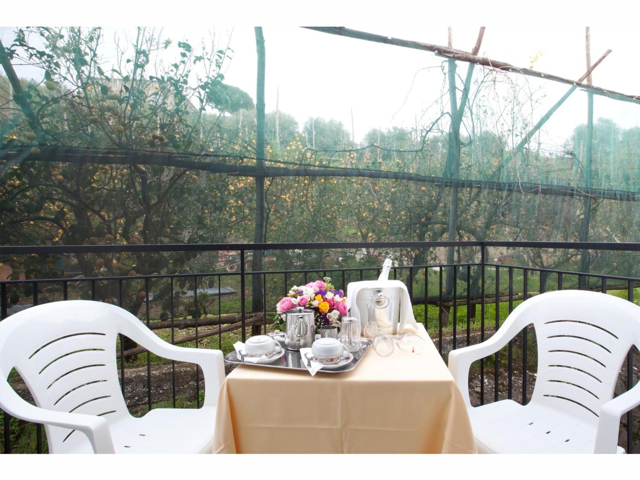 Double Room with Balcony and Garden View photo 3