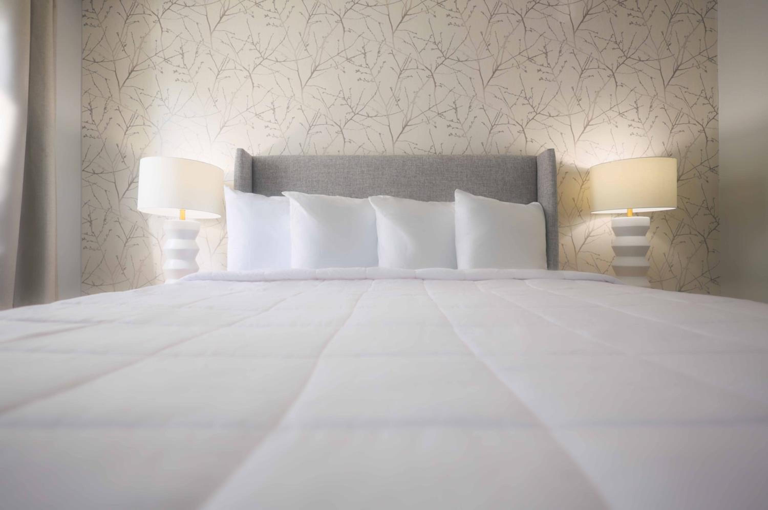 Queen Room - Disability Access photo 1
