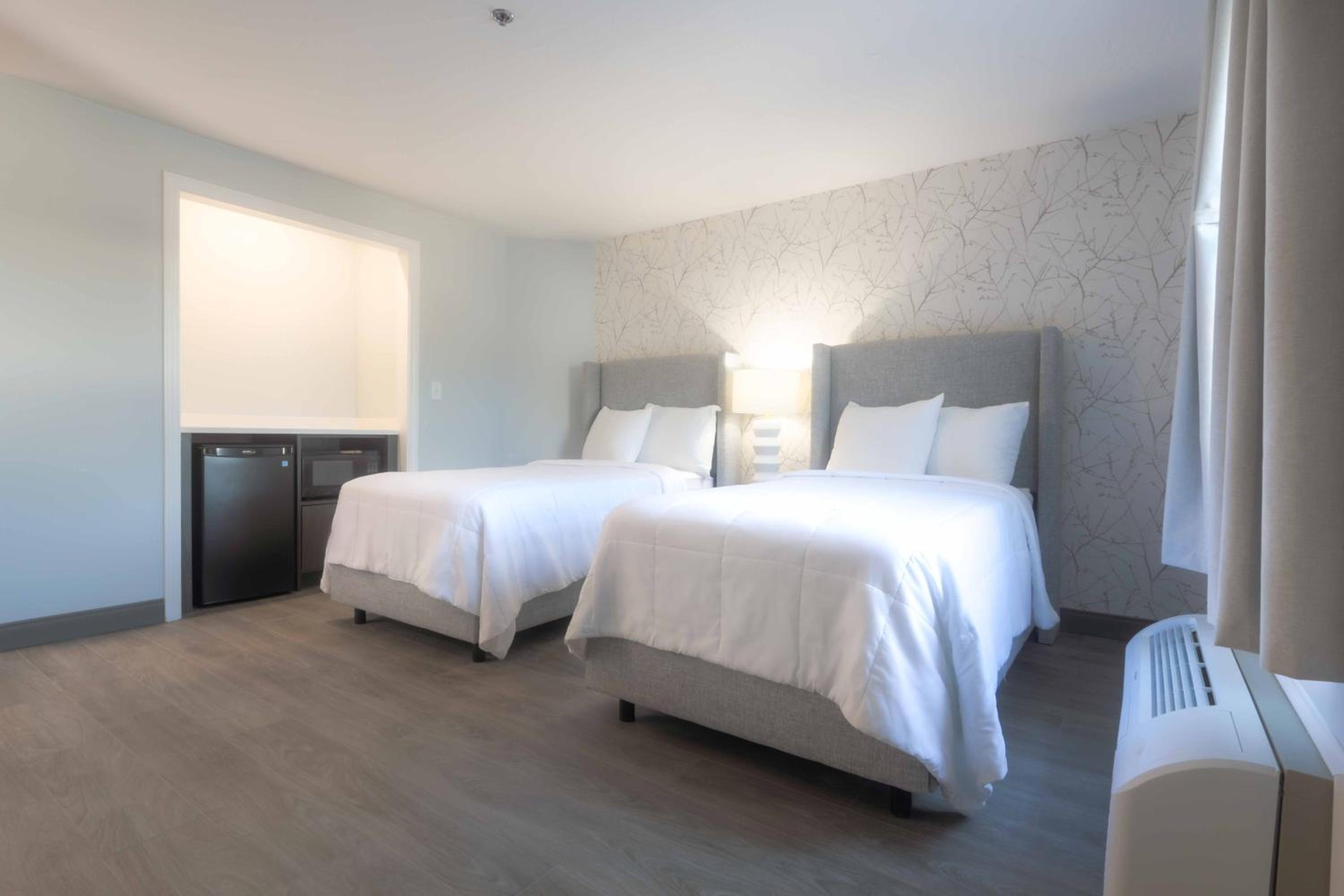 Deluxe Twin Room photo 1
