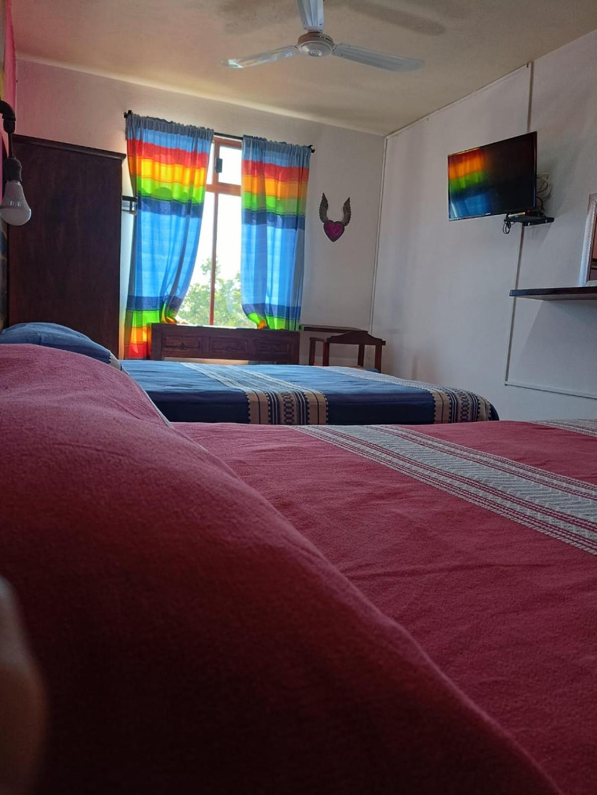 Double Room with Two Double Beds photo 2