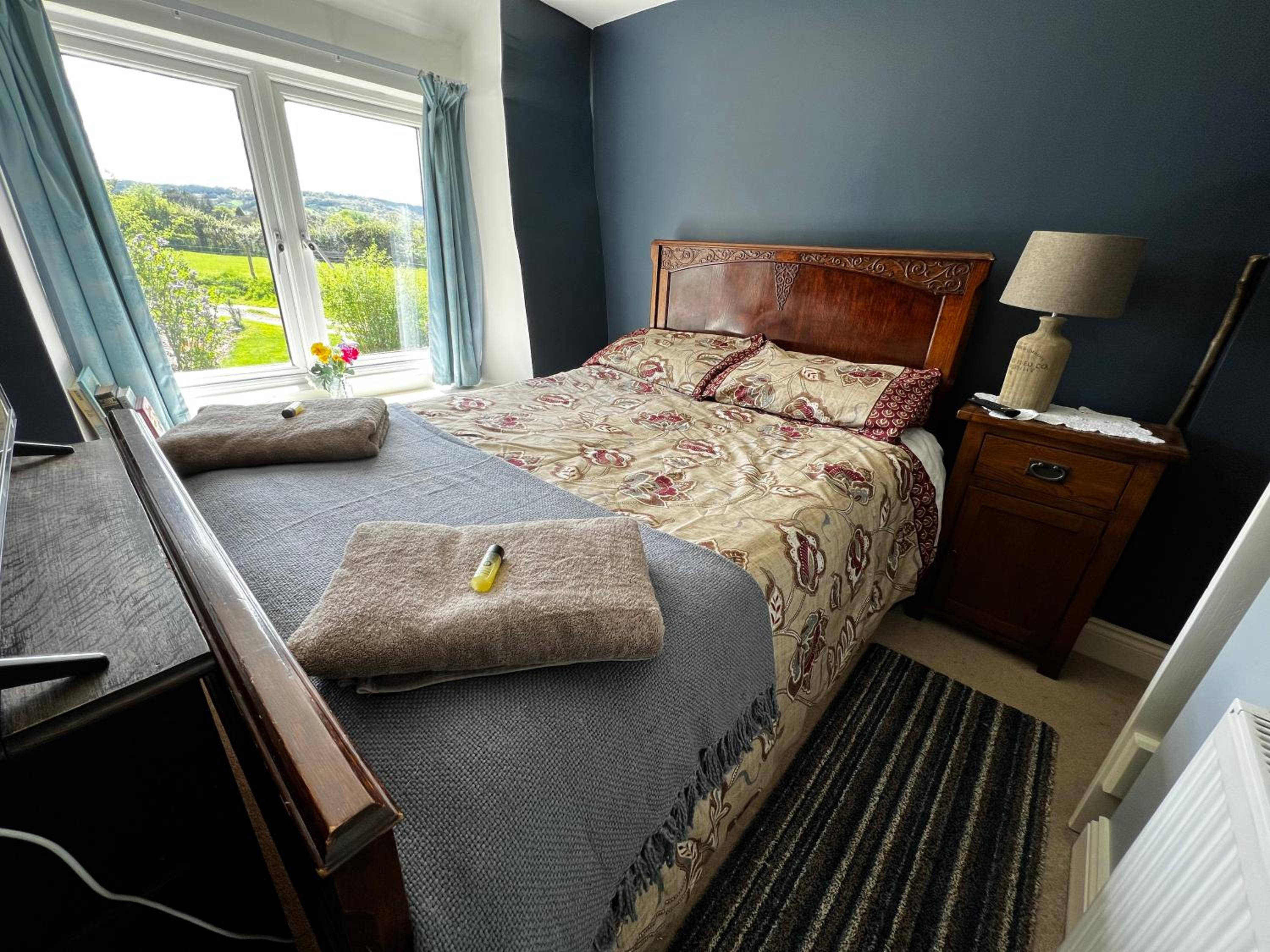 King Room with Garden View