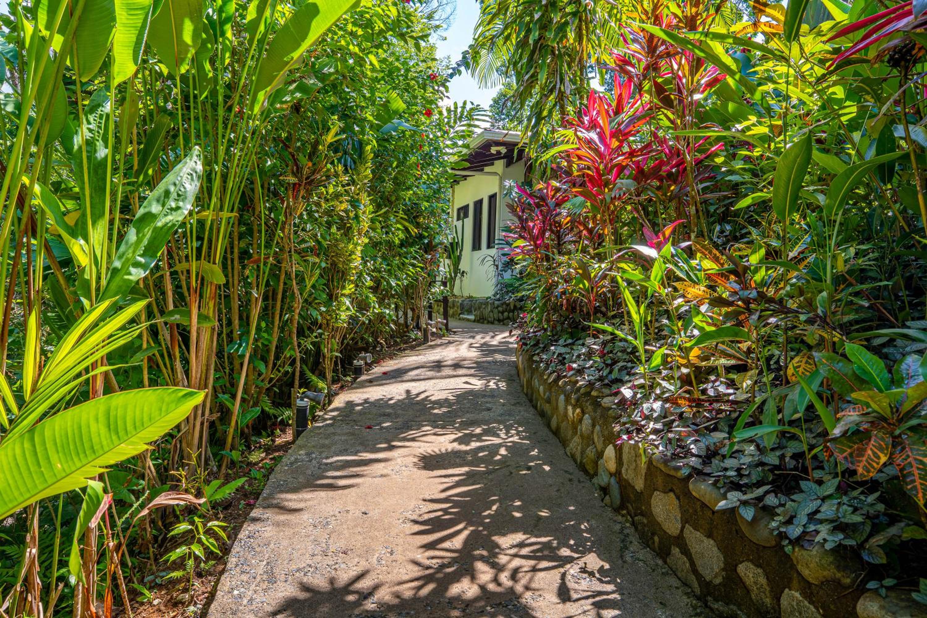 Deluxe Villa Colibri (accessible) photo 3