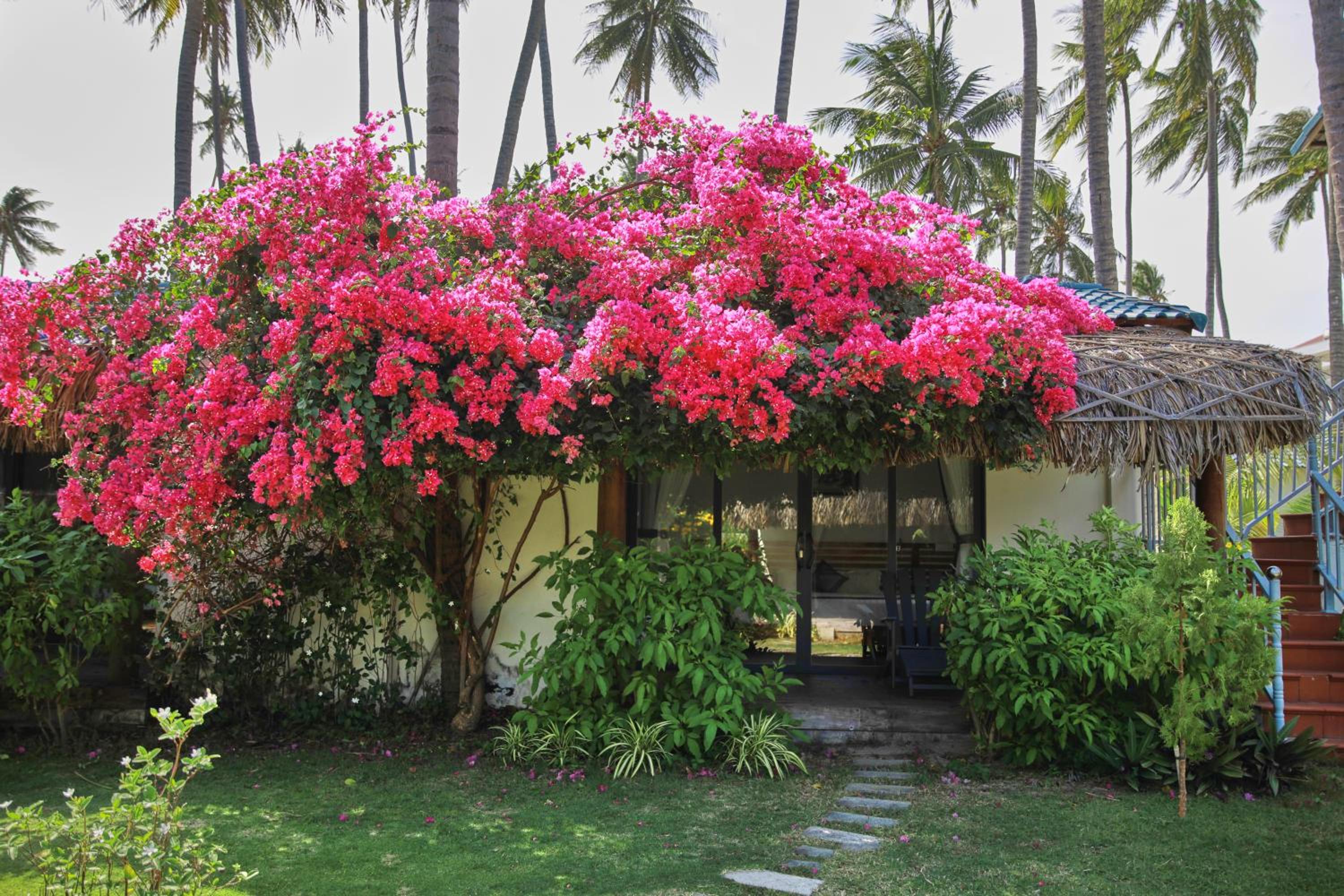 Bungalow With Garden View - Photo 3