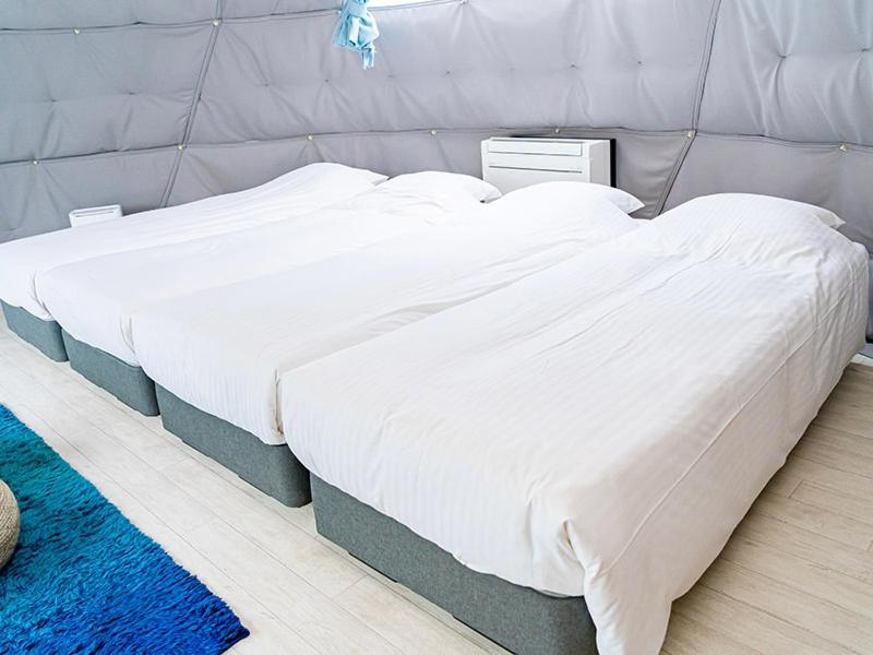 Dome Tent with Single Beds
