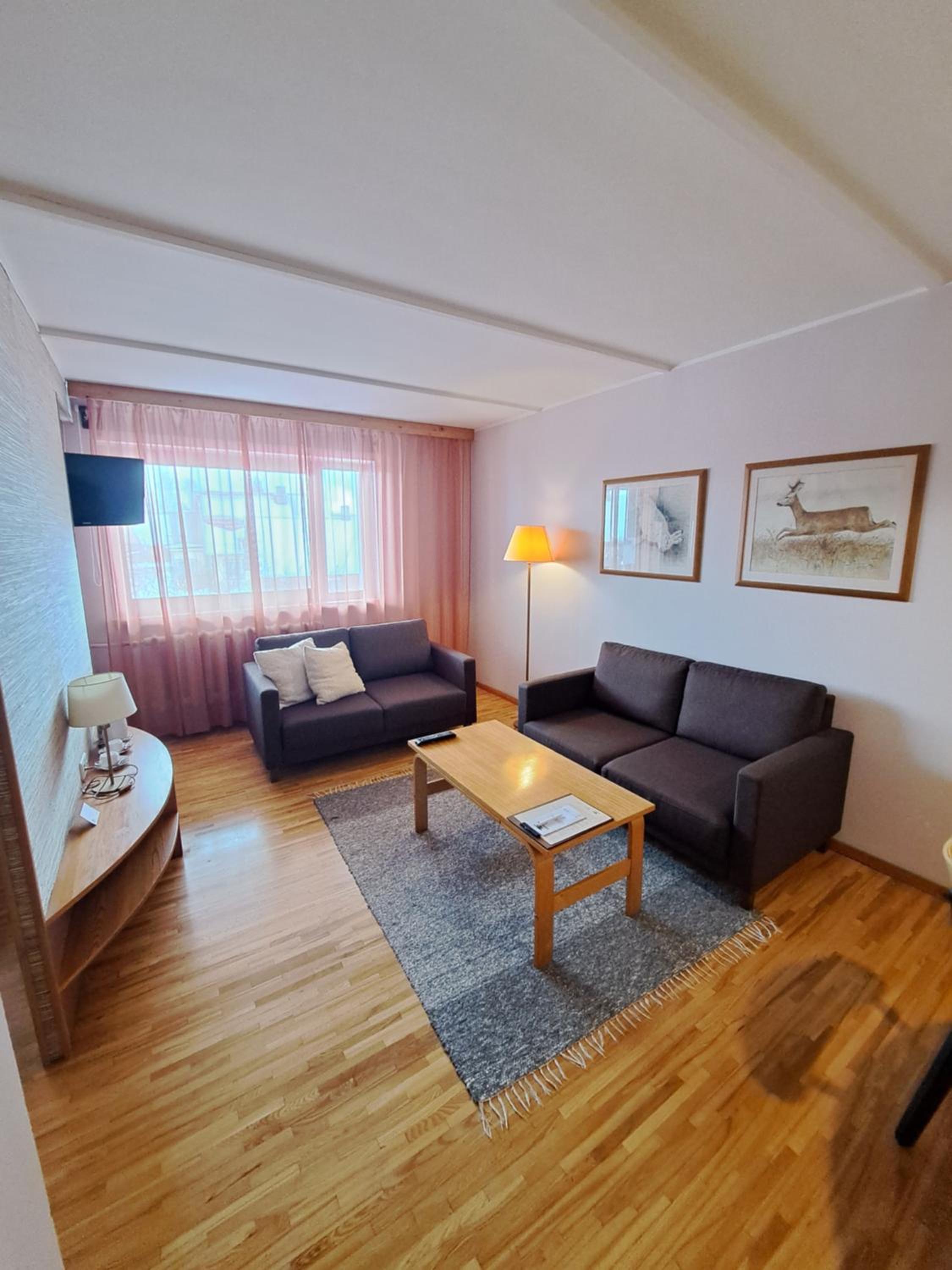 Mini Suite