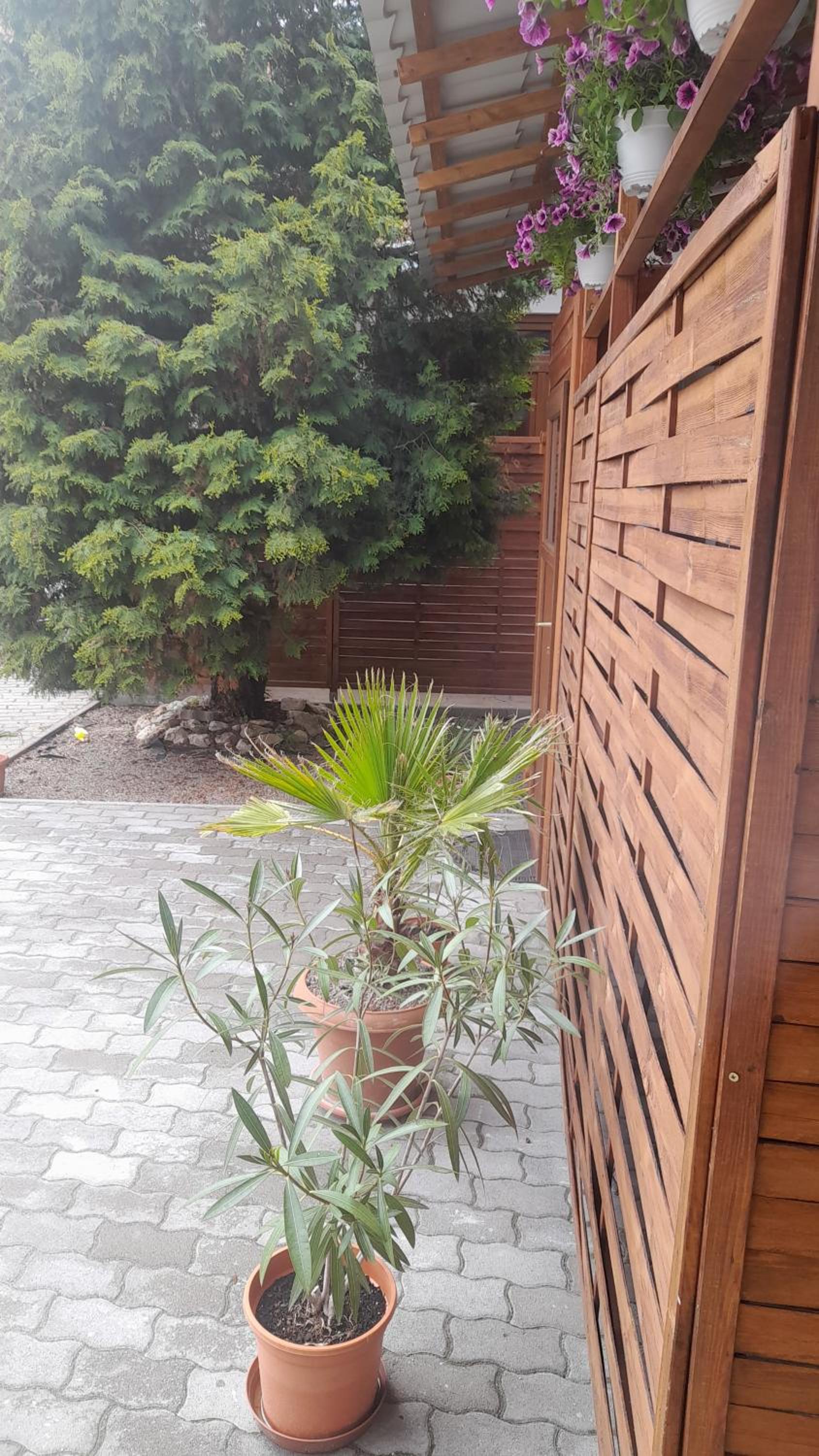 Apartment - Photo 12