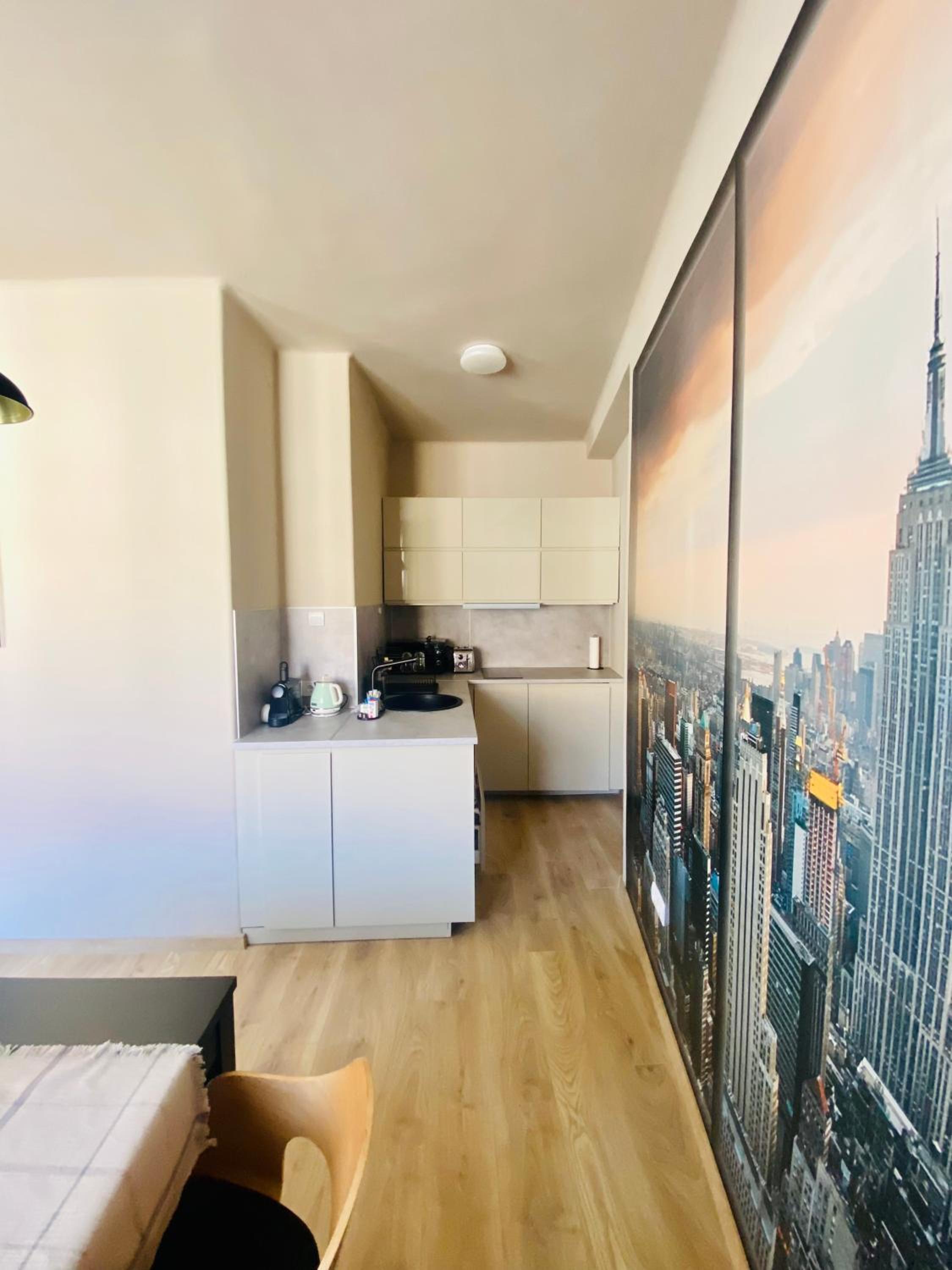 One-Bedroom Apartment photo 2