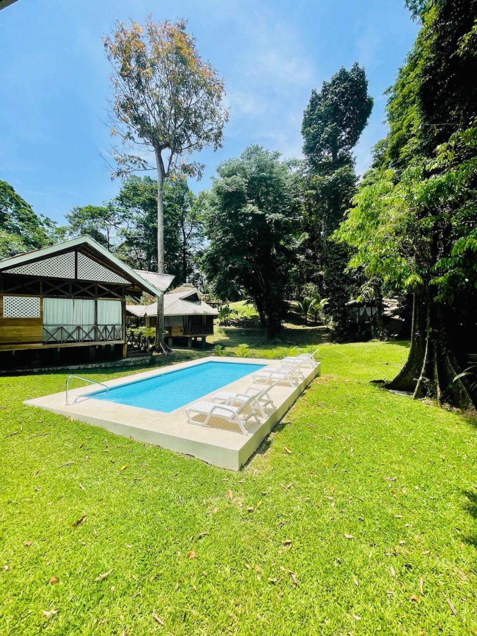 Deluxe Bungalow with Garden View photo 1