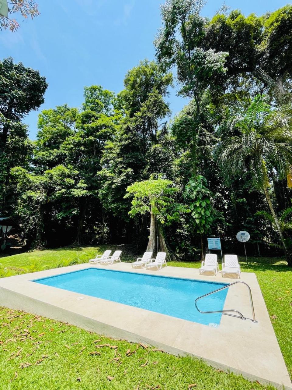 Deluxe Bungalow with Garden View photo 2