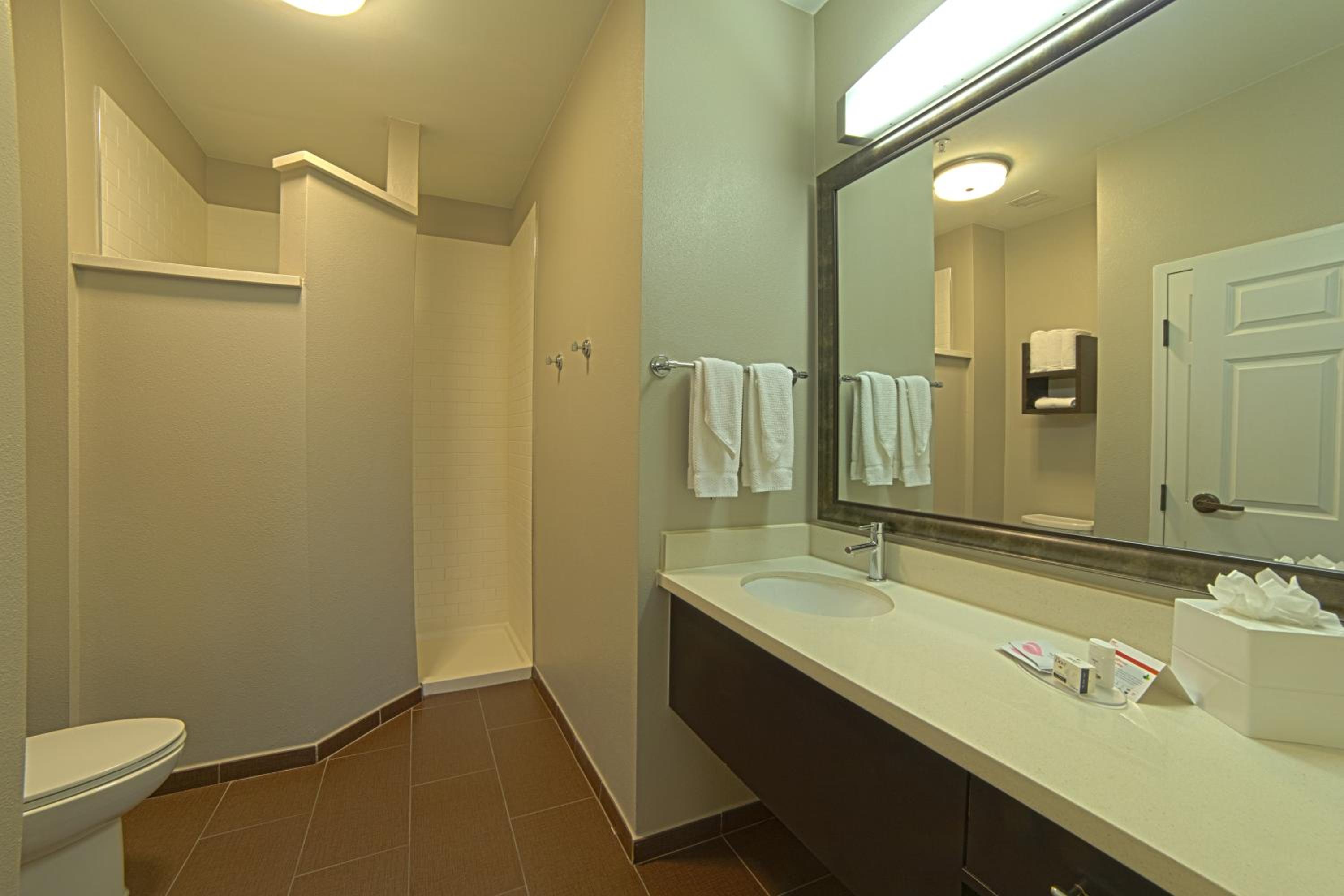 One-Bedroom King Suite - Photo 16