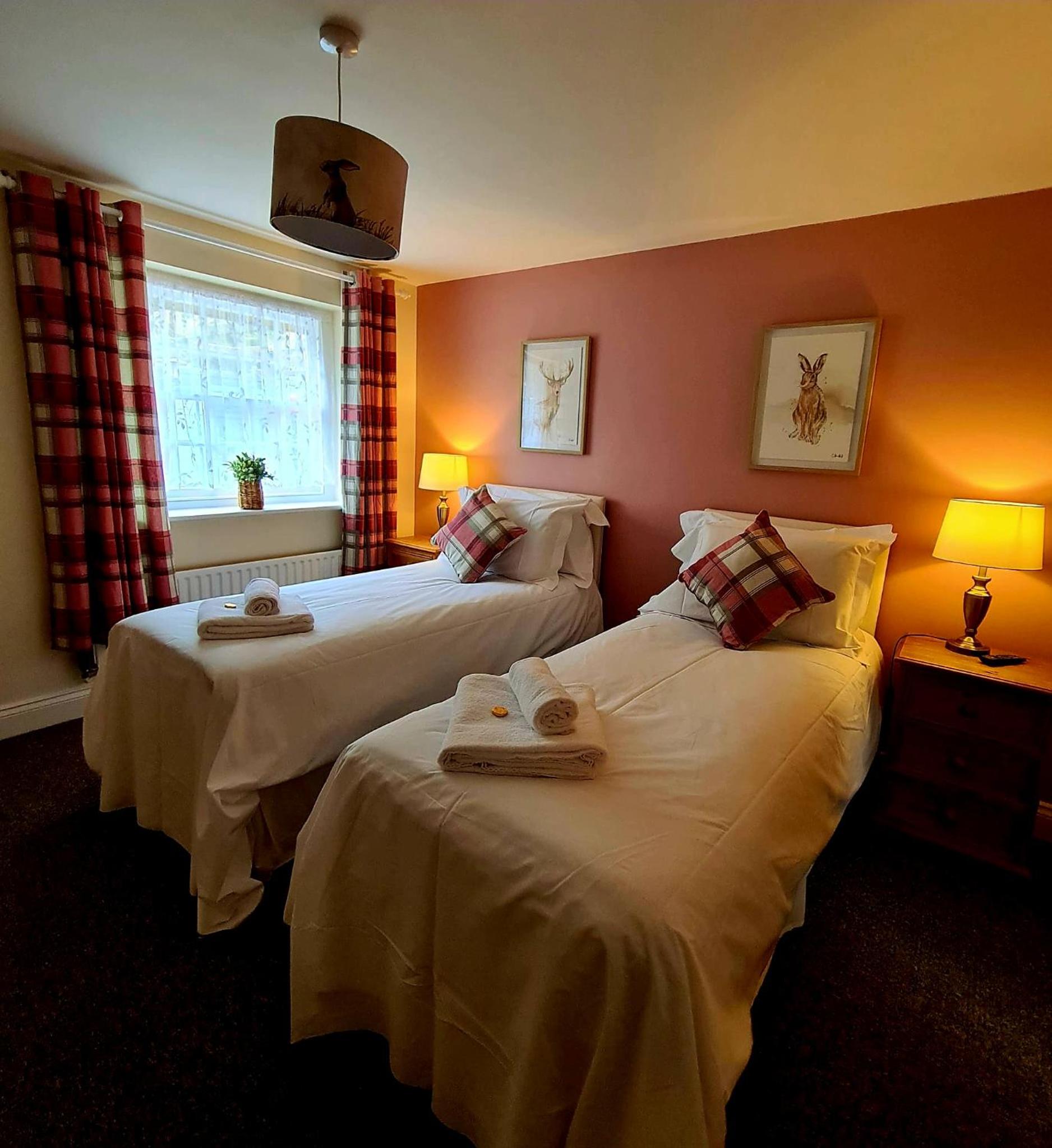 Superior King or Twin Room photo 1