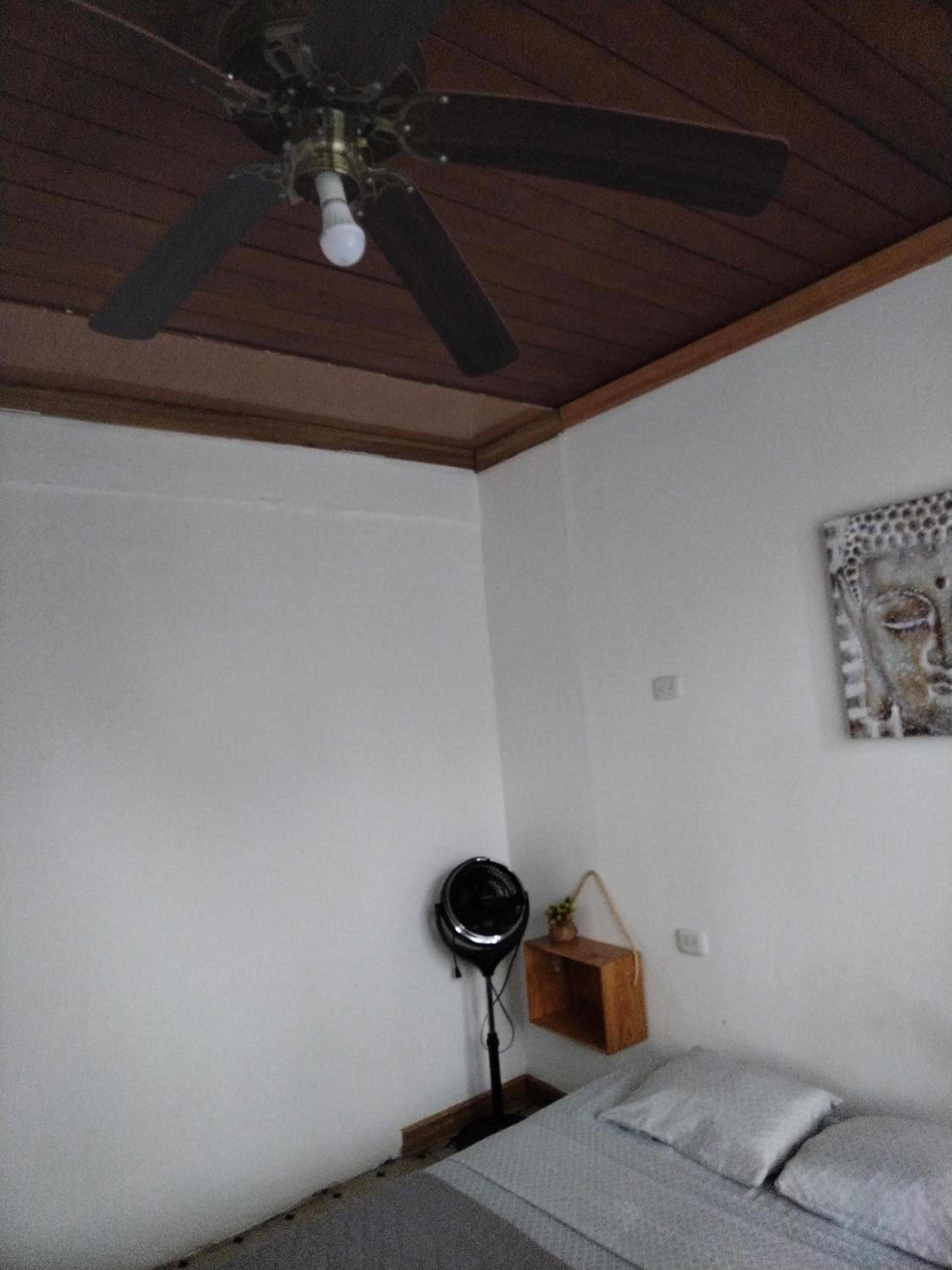 Budget Twin Room photo 1