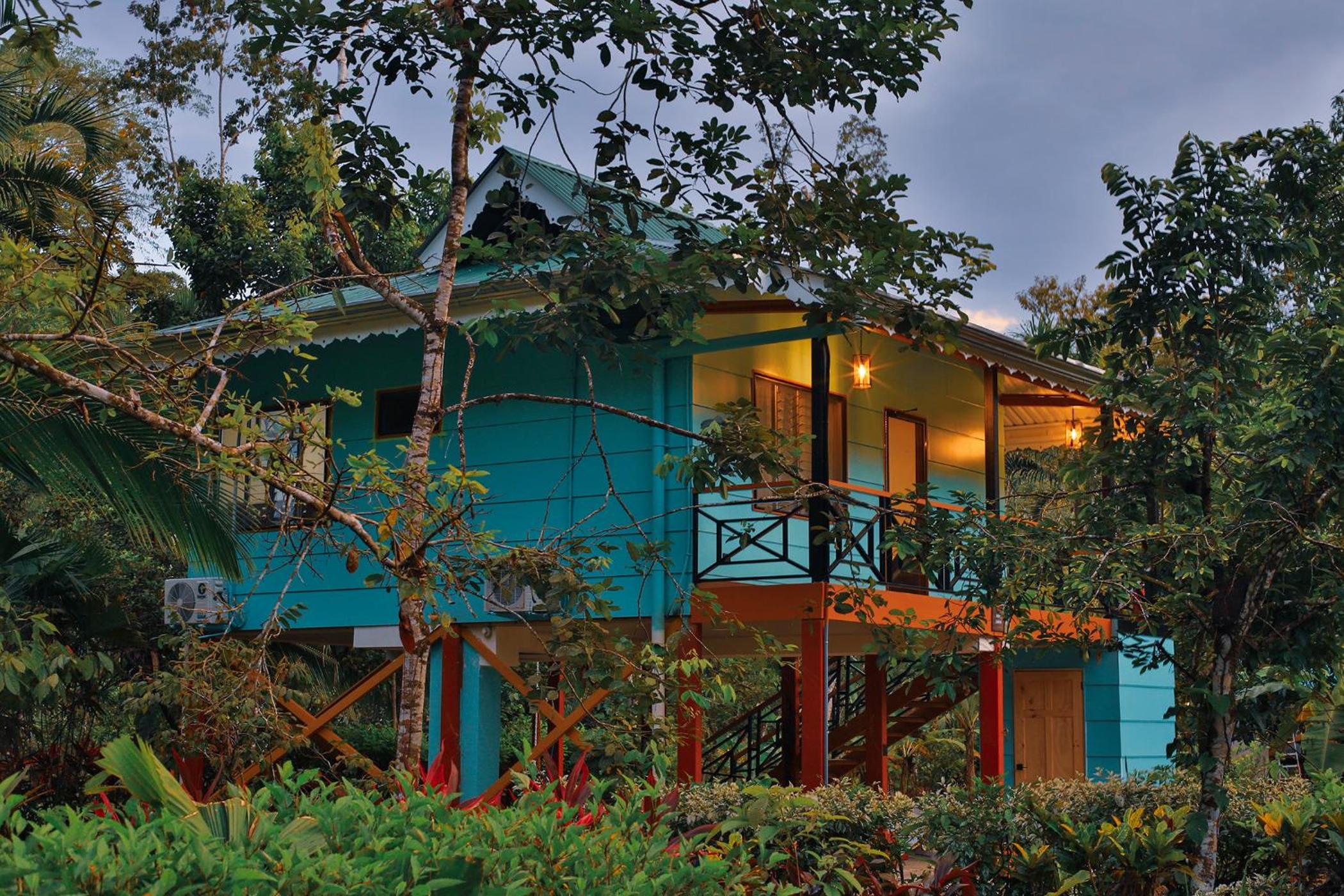 Superior Villa photo 3