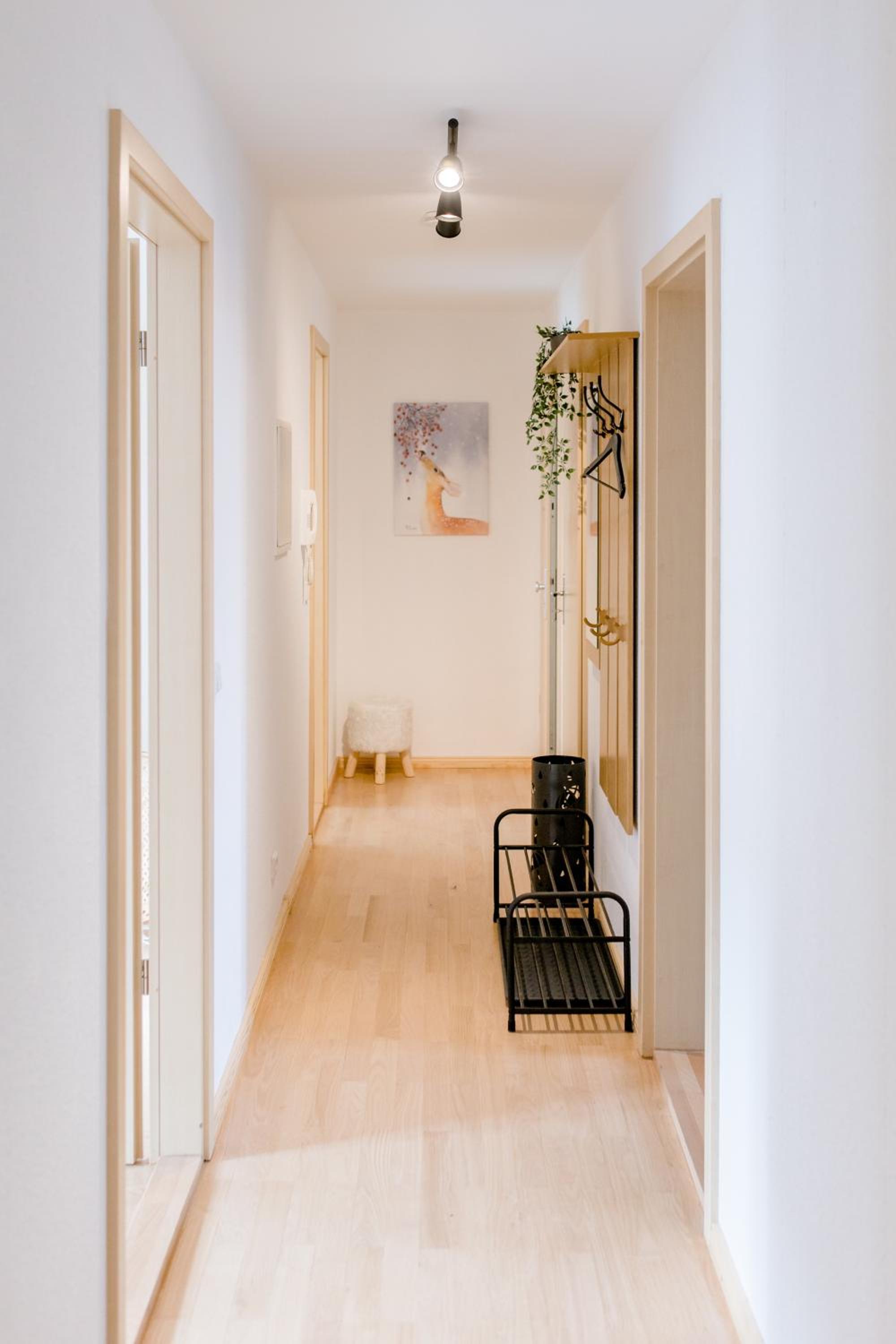 Apartment with Terrace photo 1