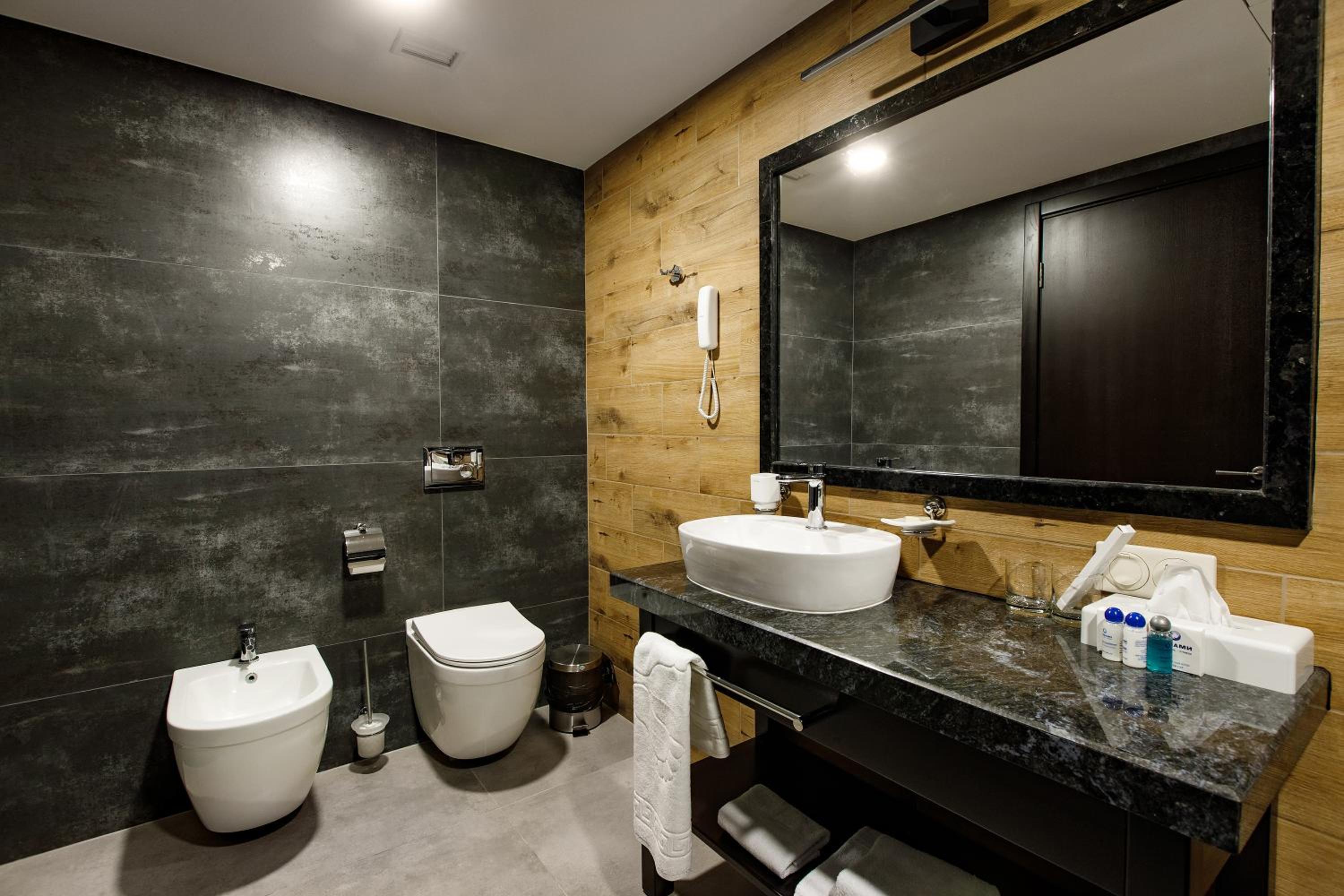 Deluxe Apartment without SPA access  photo 2